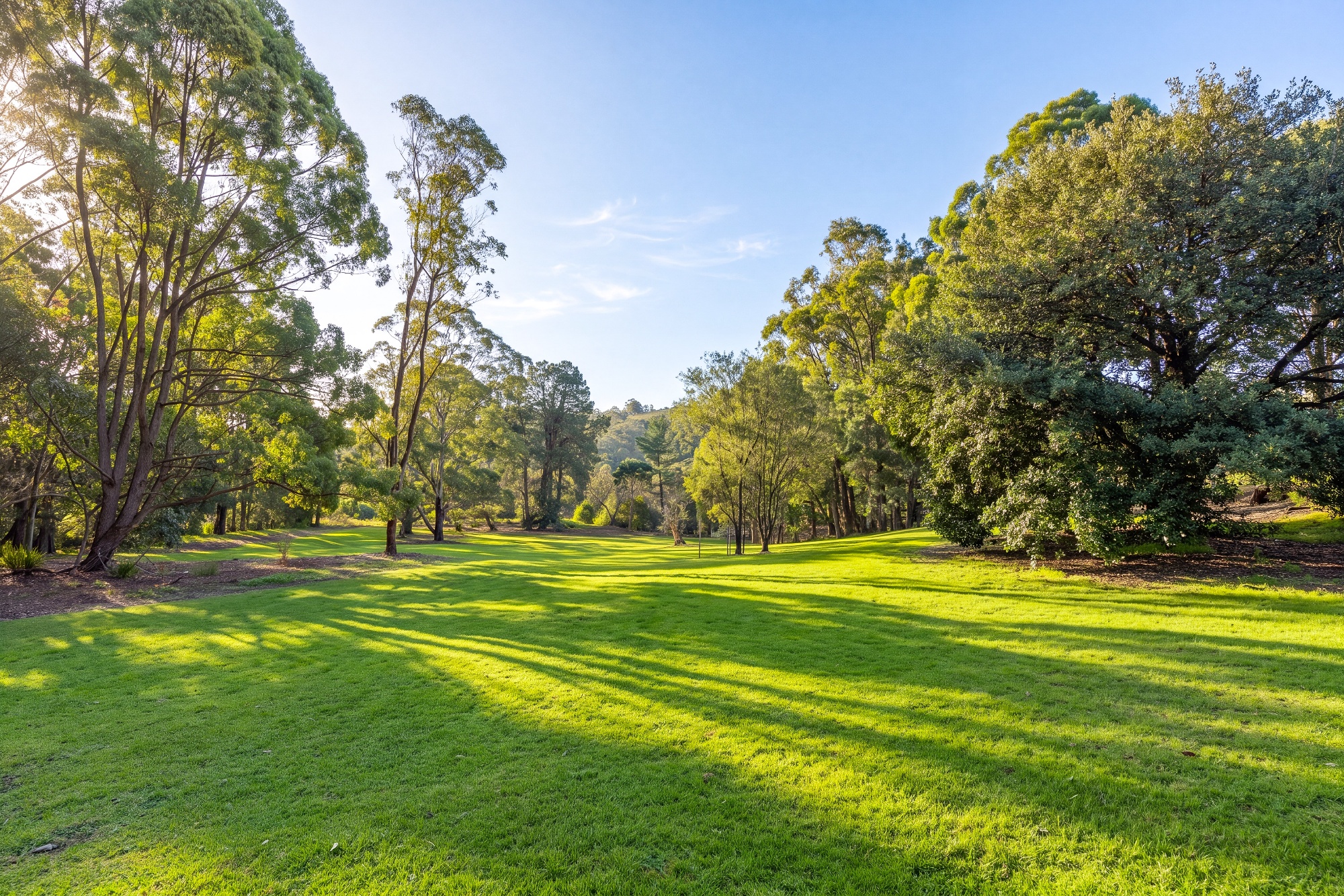  19 Myoora Road, Terrey Hills - 物件實景