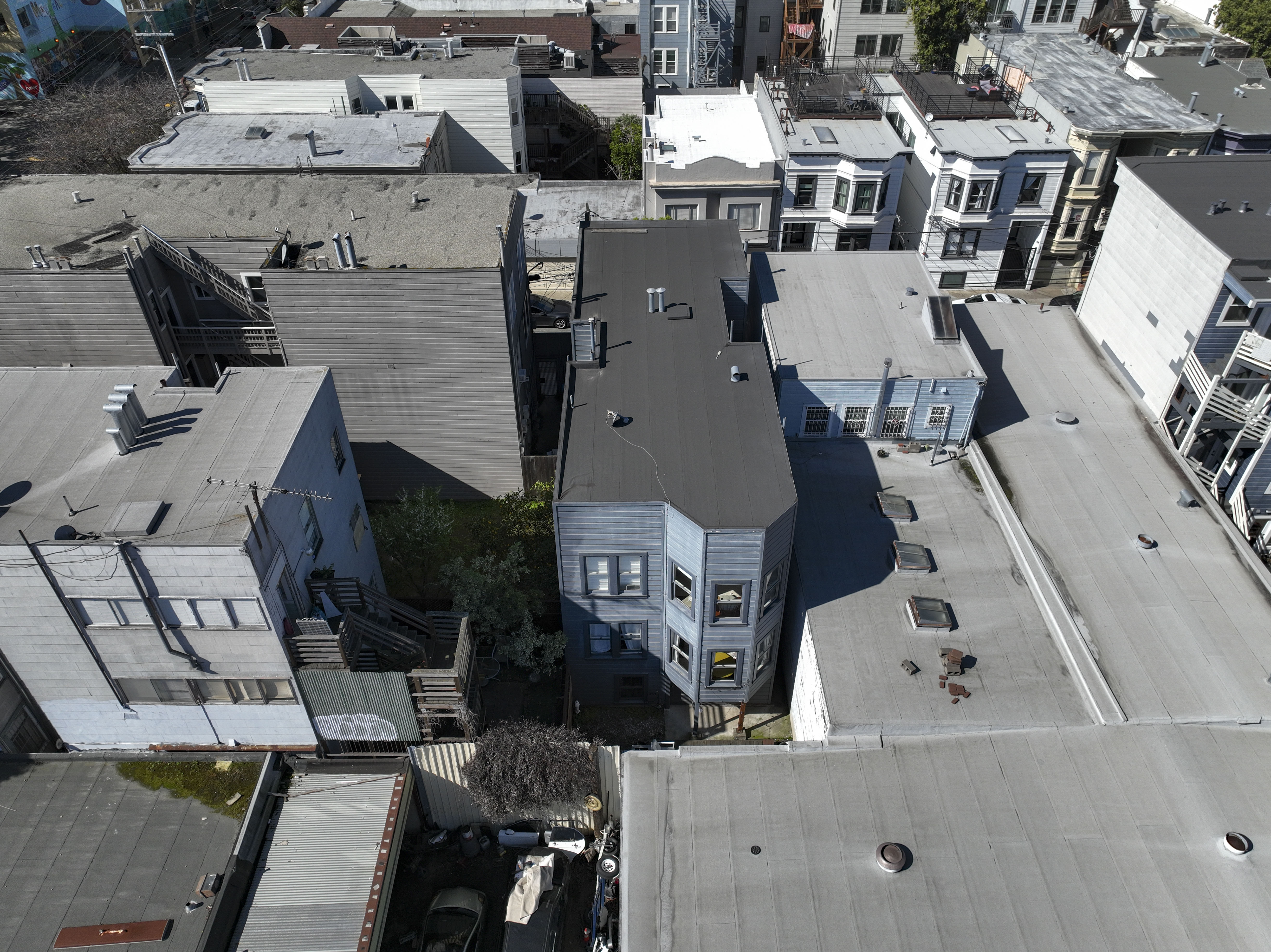  Period Charm Galore  Edwardian in the Mission - 物件實景
