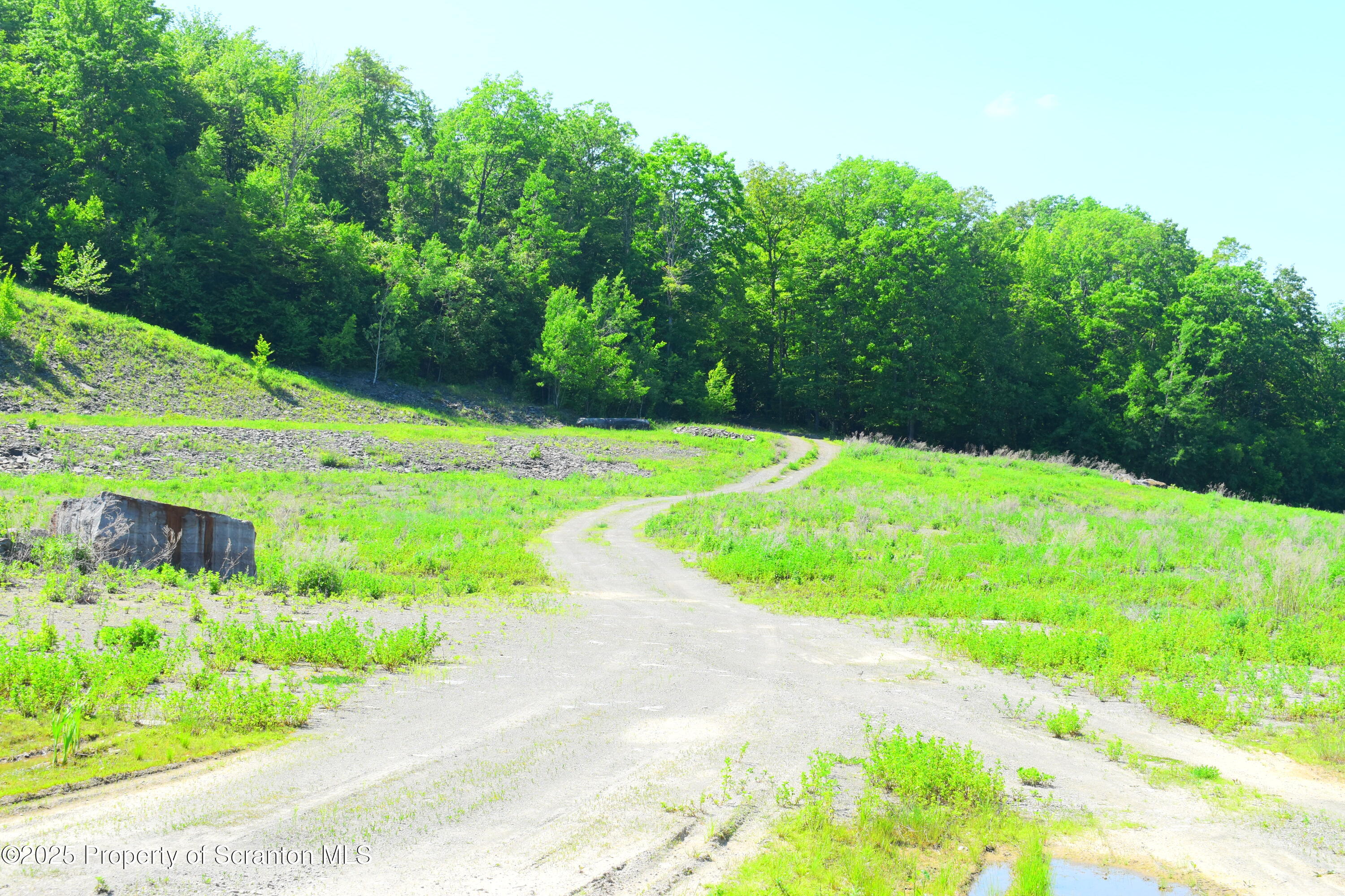 State Route 92, Susquehanna, Pennsylvania, 18847, United States, ,Land,For Sale,State Route 92,1665959