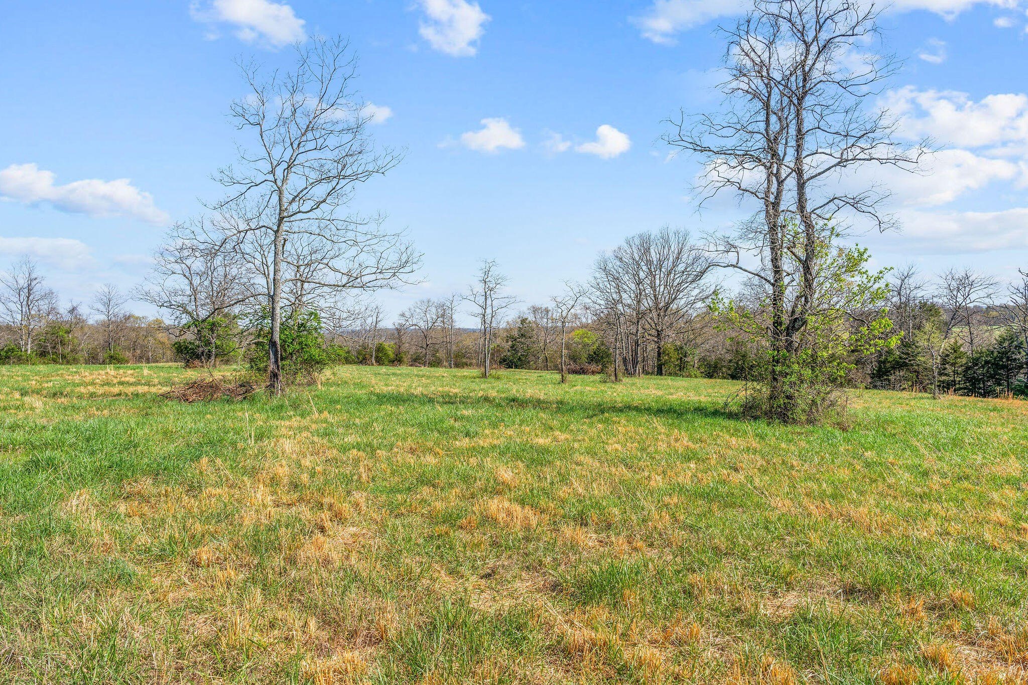 Kirbyville, Missouri, 65679, United States, ,Land,For Sale,1978892