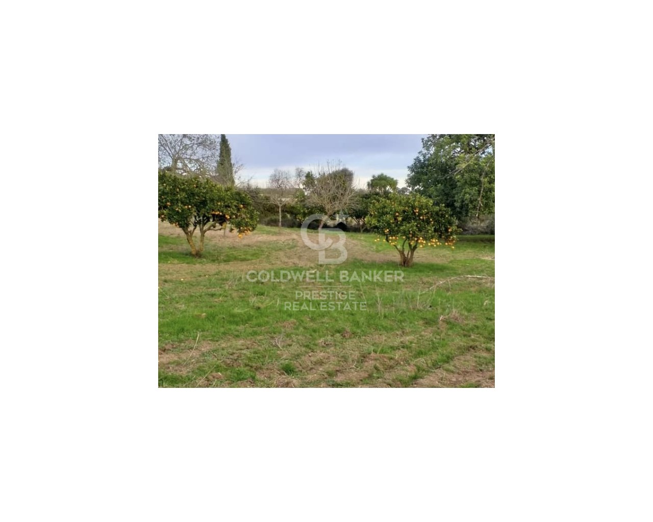 Mallorca, Art?, Art? Mallorca, Art?, Art? Mallorca, Artà, Balearic Islands, 07570, ES, 5 Bedrooms Bedrooms, ,2 BathroomsBathrooms,Residential,For Sale,Mallorca, Art?, Art? Mallorca, Art?, Art? Mallorca,1623997