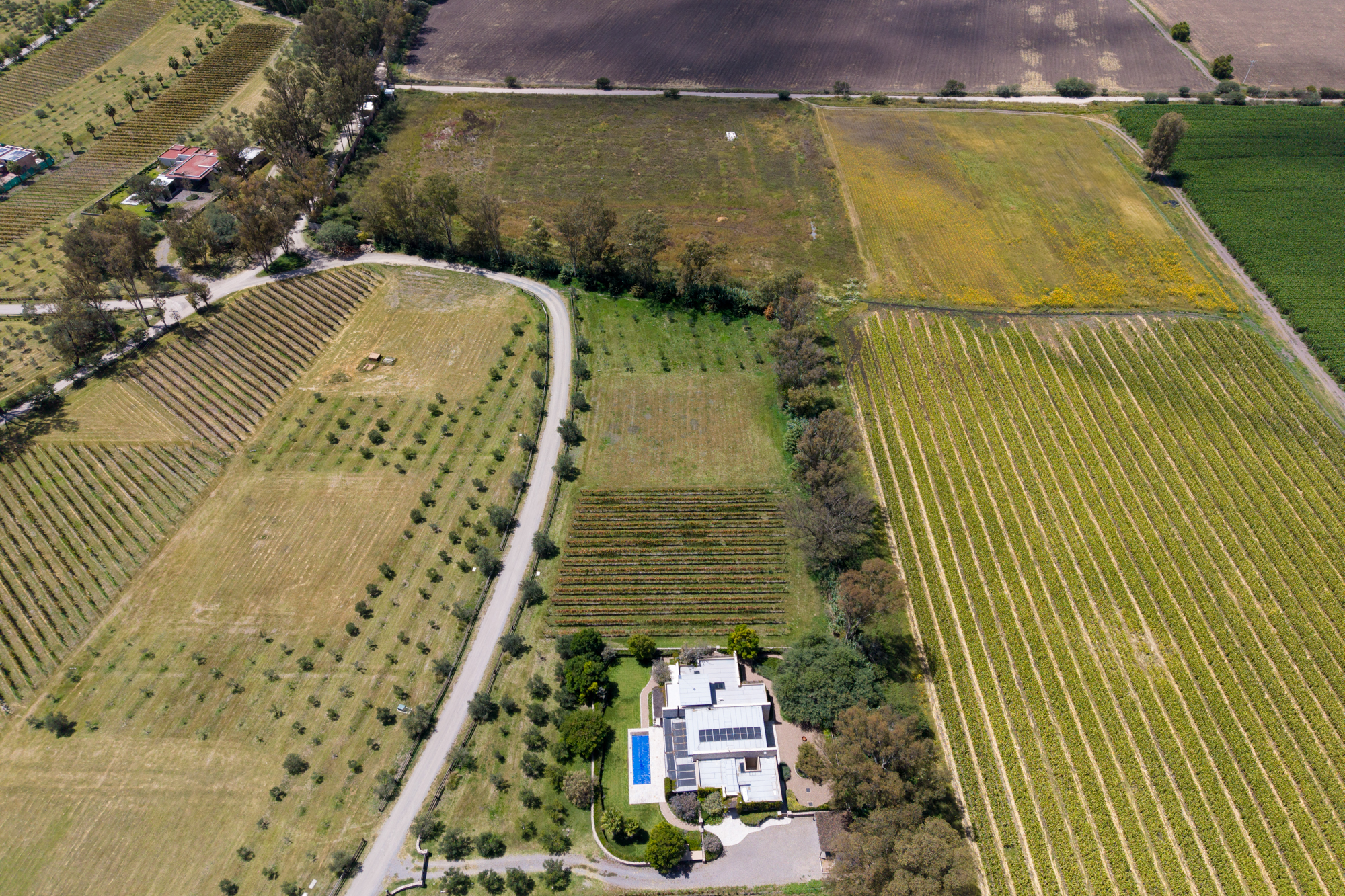  San Francisco Vineyards Lot 1 - 物件實景