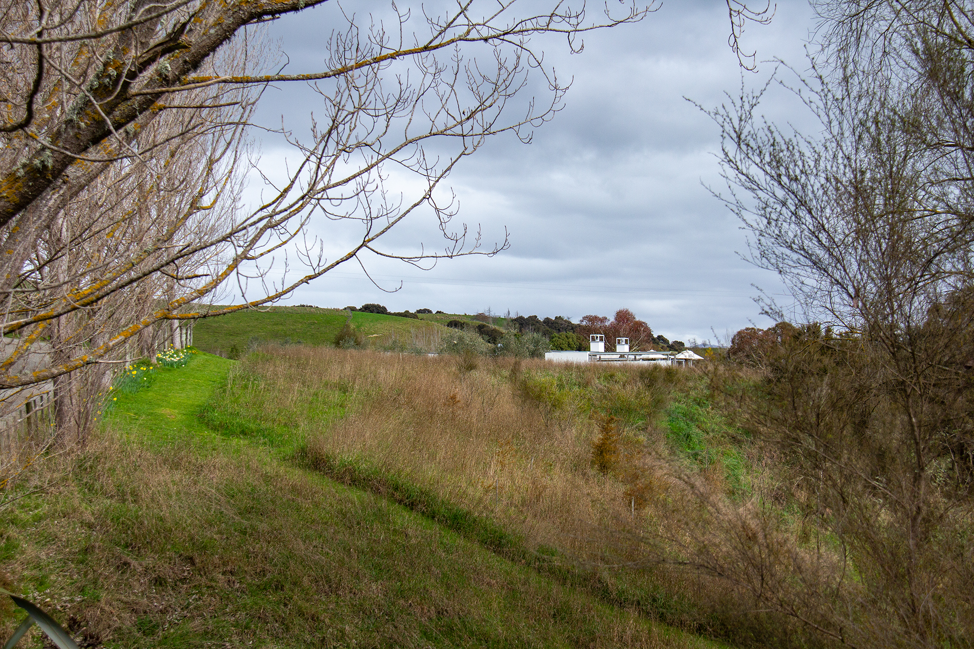  Martinborough Dream Lifestyle Property - 物件實景