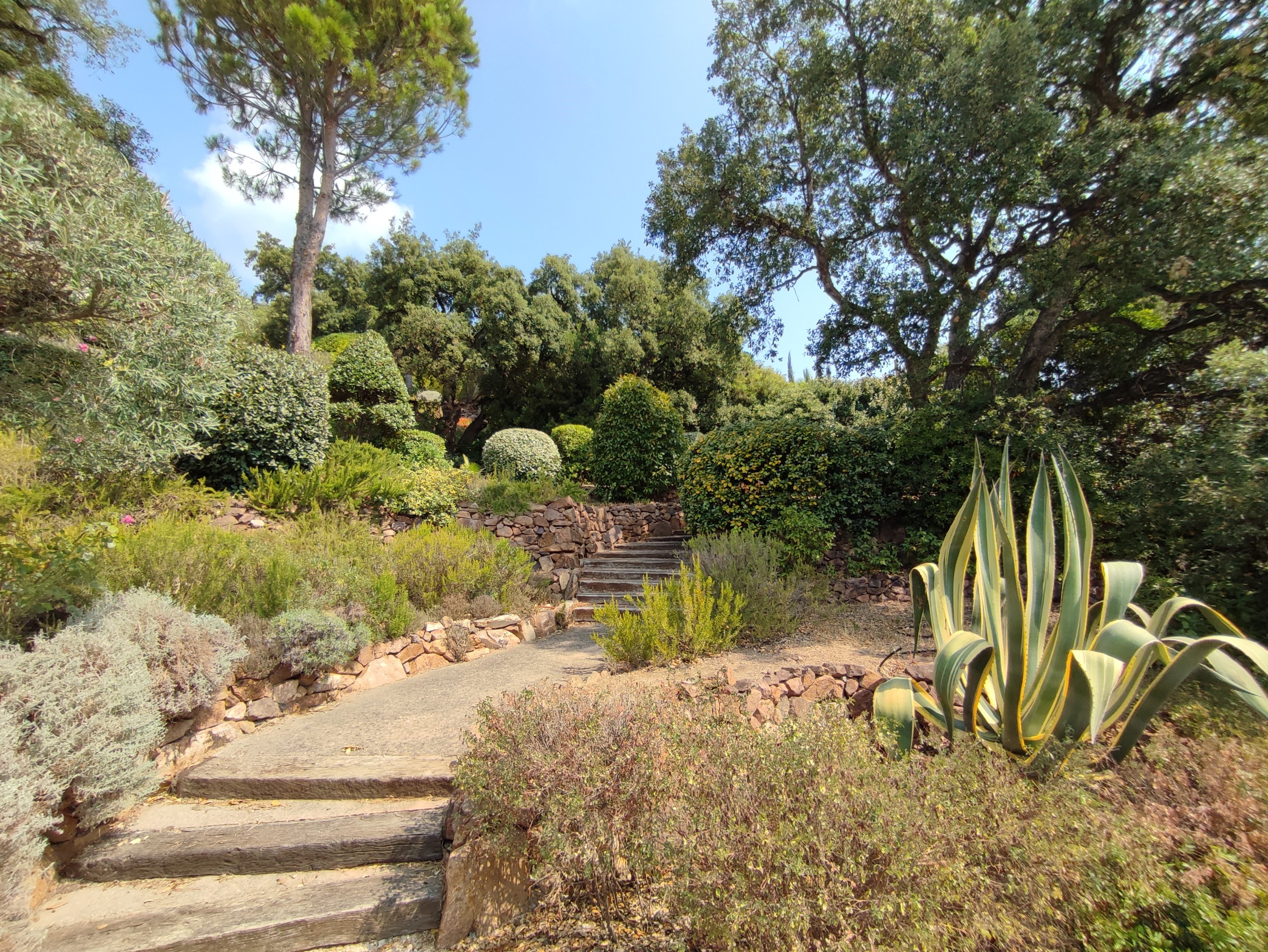  Anthéor luxury sea view villa with infinity pool near Cannes and Saint-Tropez - 物件實景