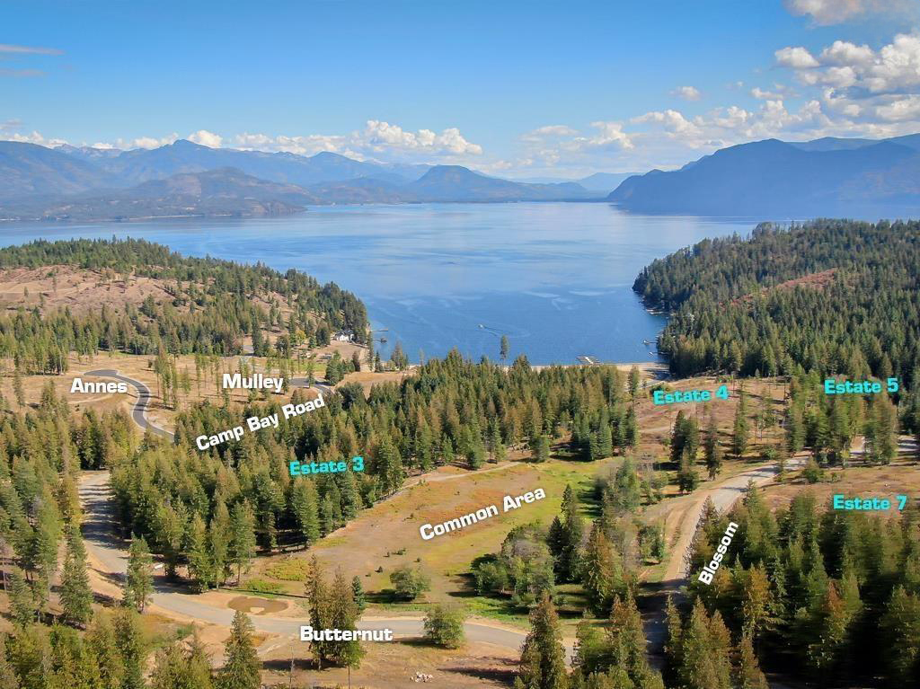 Sagle, Idaho, 83860, United States, ,Land,For Sale,1974286