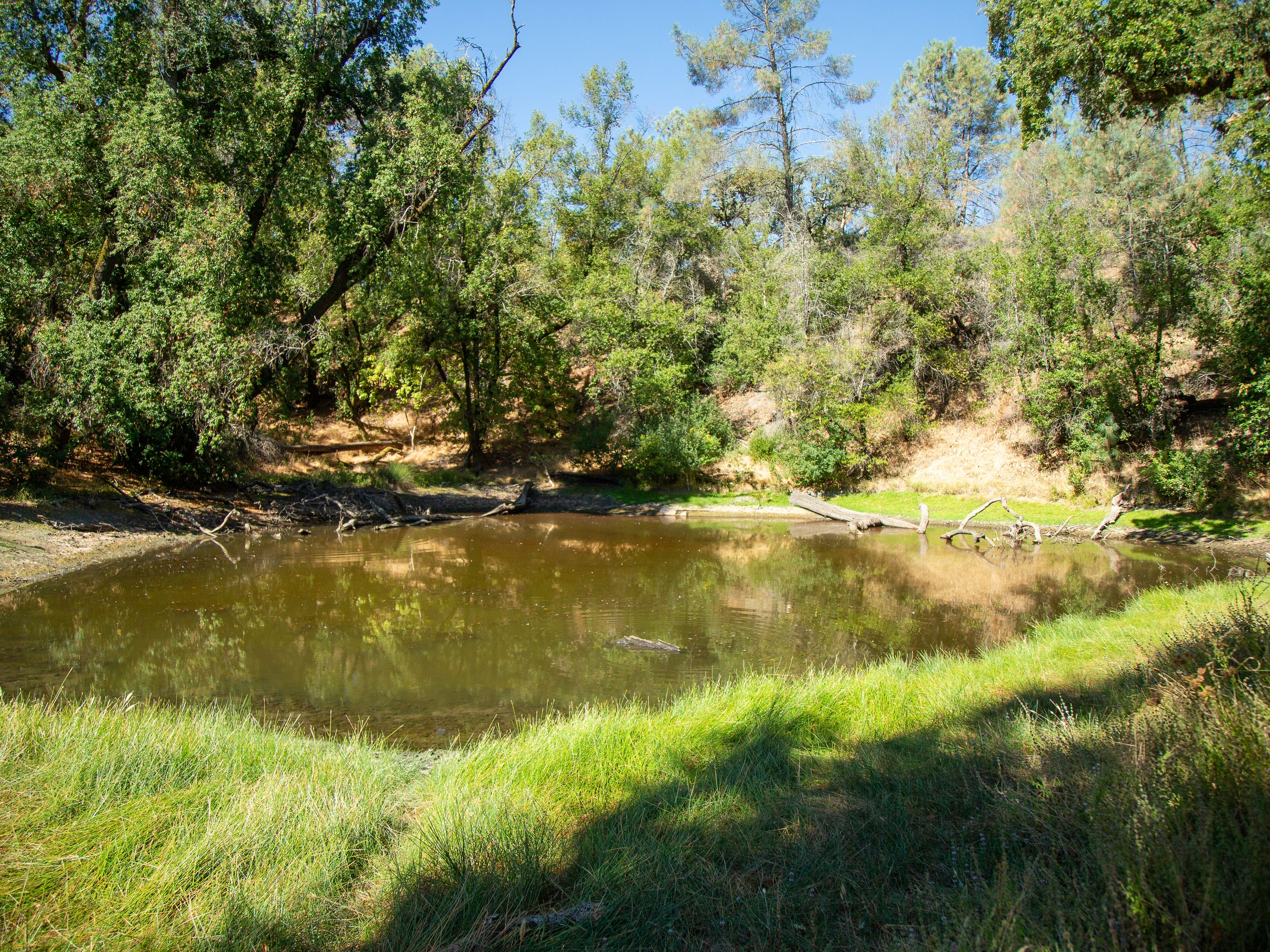  Very Rare Opportunity Alexander Valley Ranch - 物件實景