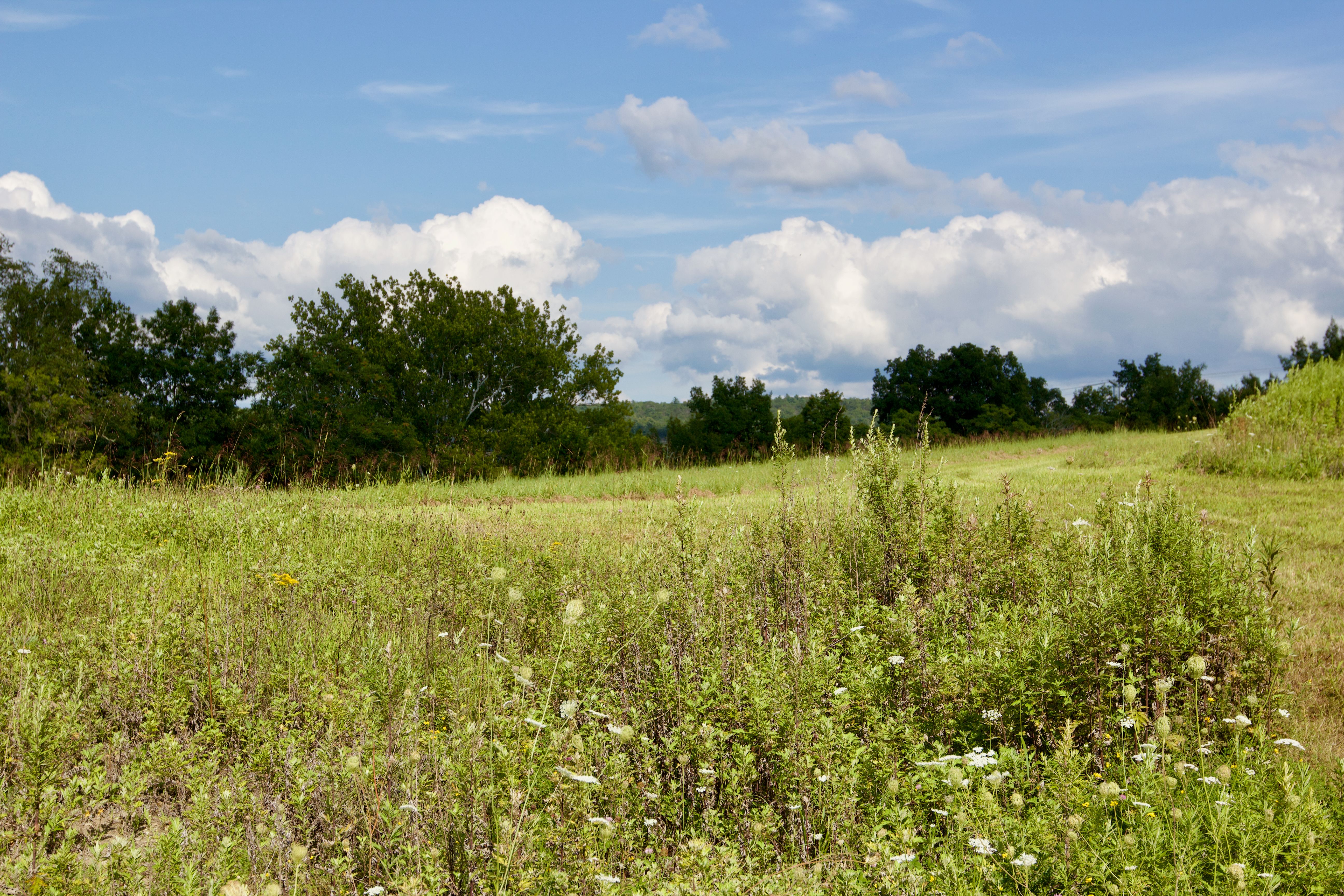  82 Turkey Hill Road, Clermont, NY 12571 - 物件實景
