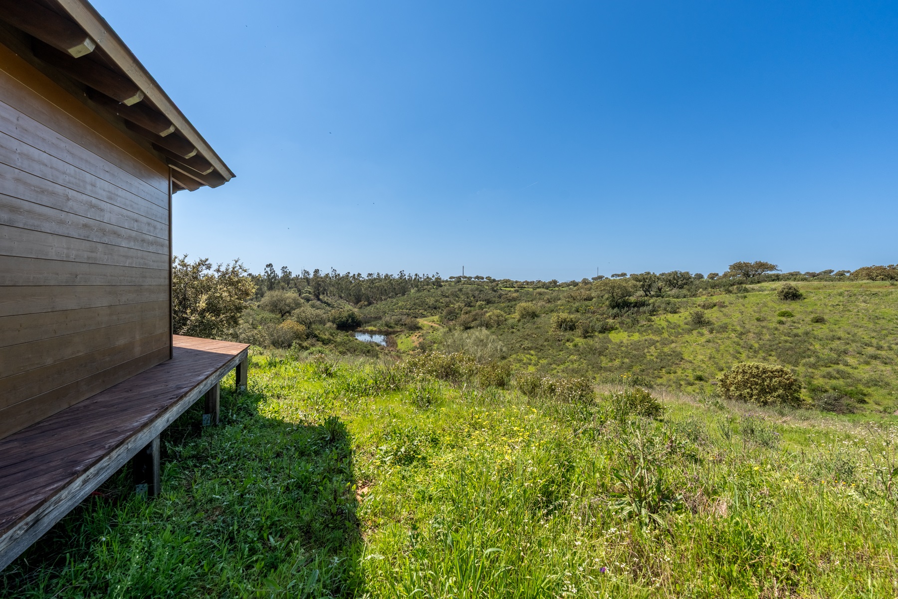  Country Estate, 13 bedrooms, for Sale - 物件實景