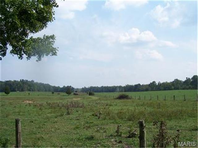 Farmington, Missouri, 63640, United States, ,Land,For Sale,1941650