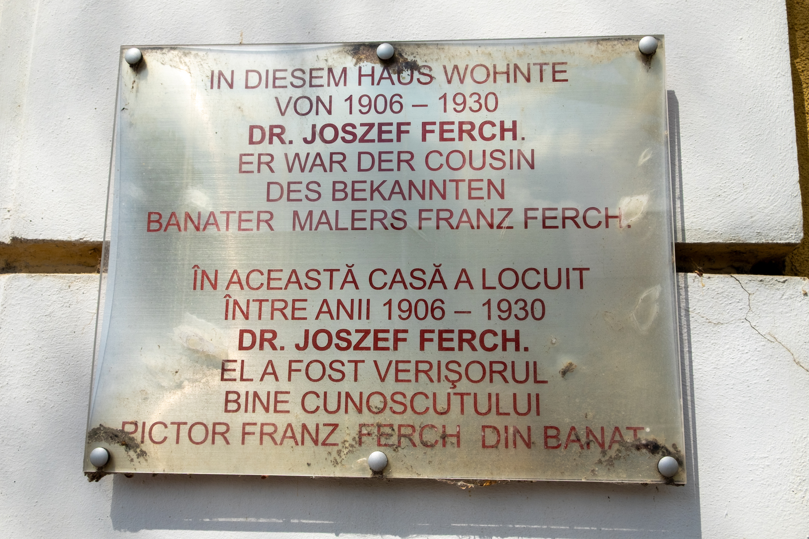  Ferch Manor - History and Tradition near Timioara - 物件實景
