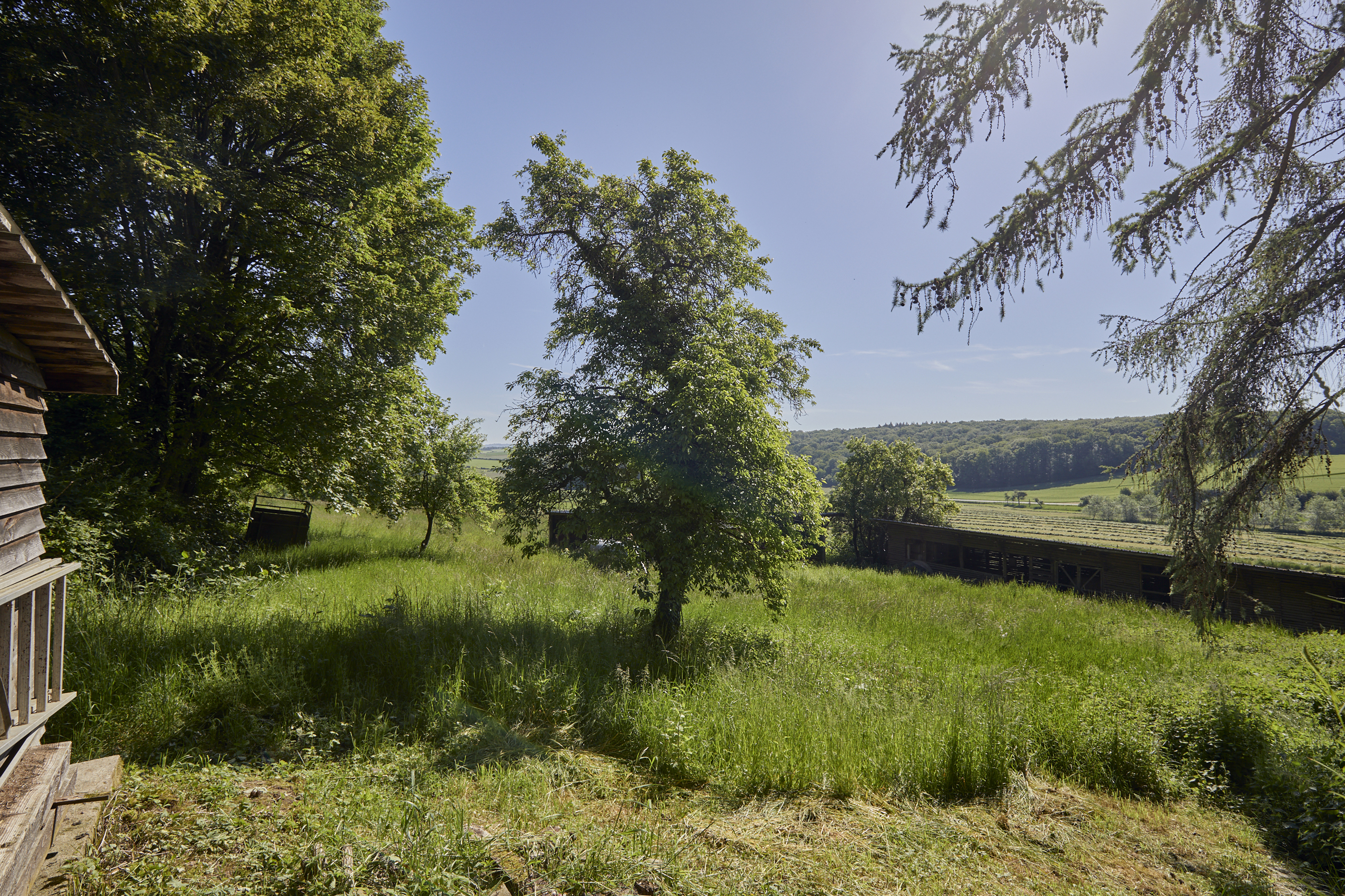  Domaine privé à Manternach - 物件實景