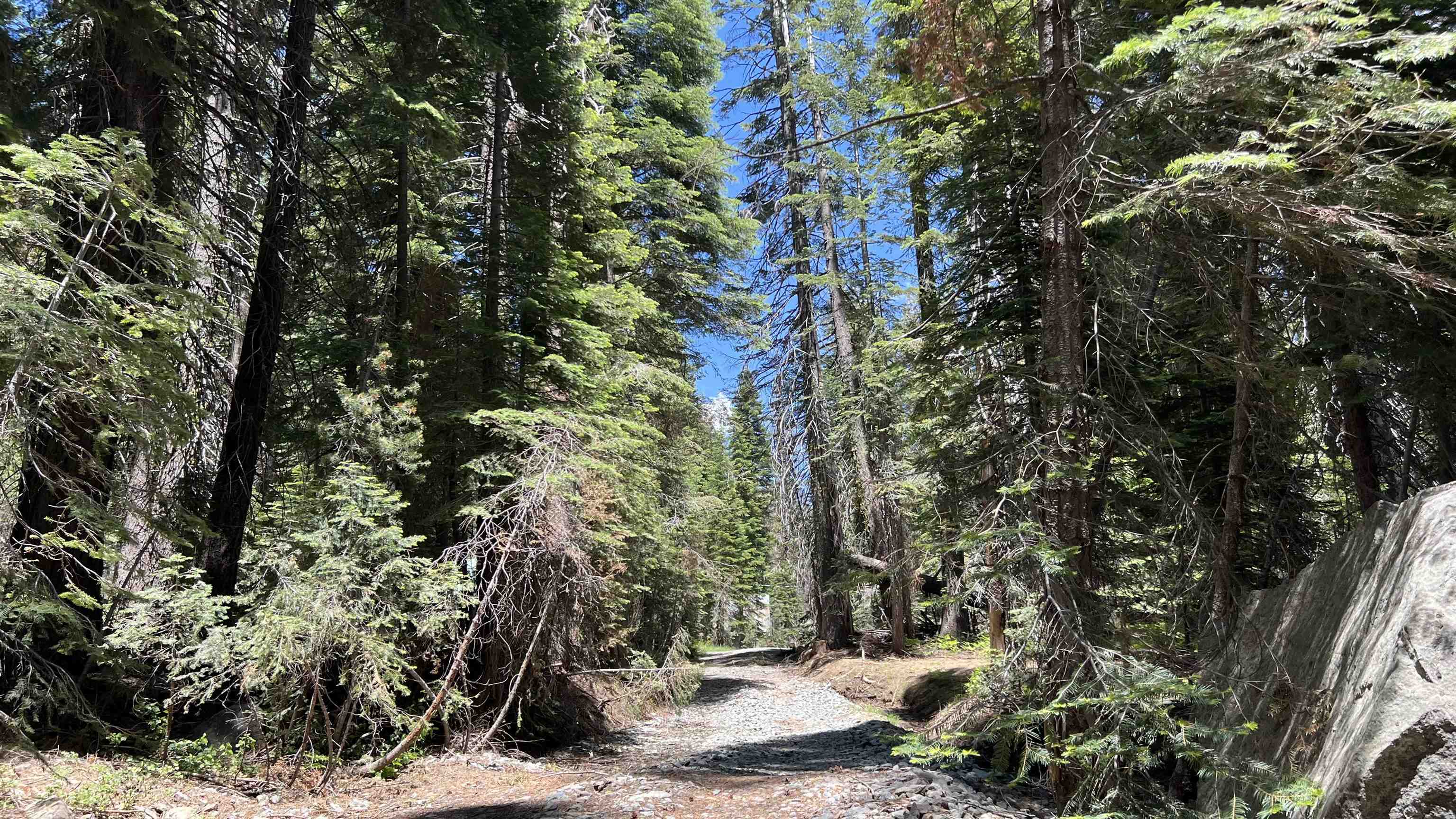 Soda Springs, California, 95728, United States, ,Land,For Sale,1998157