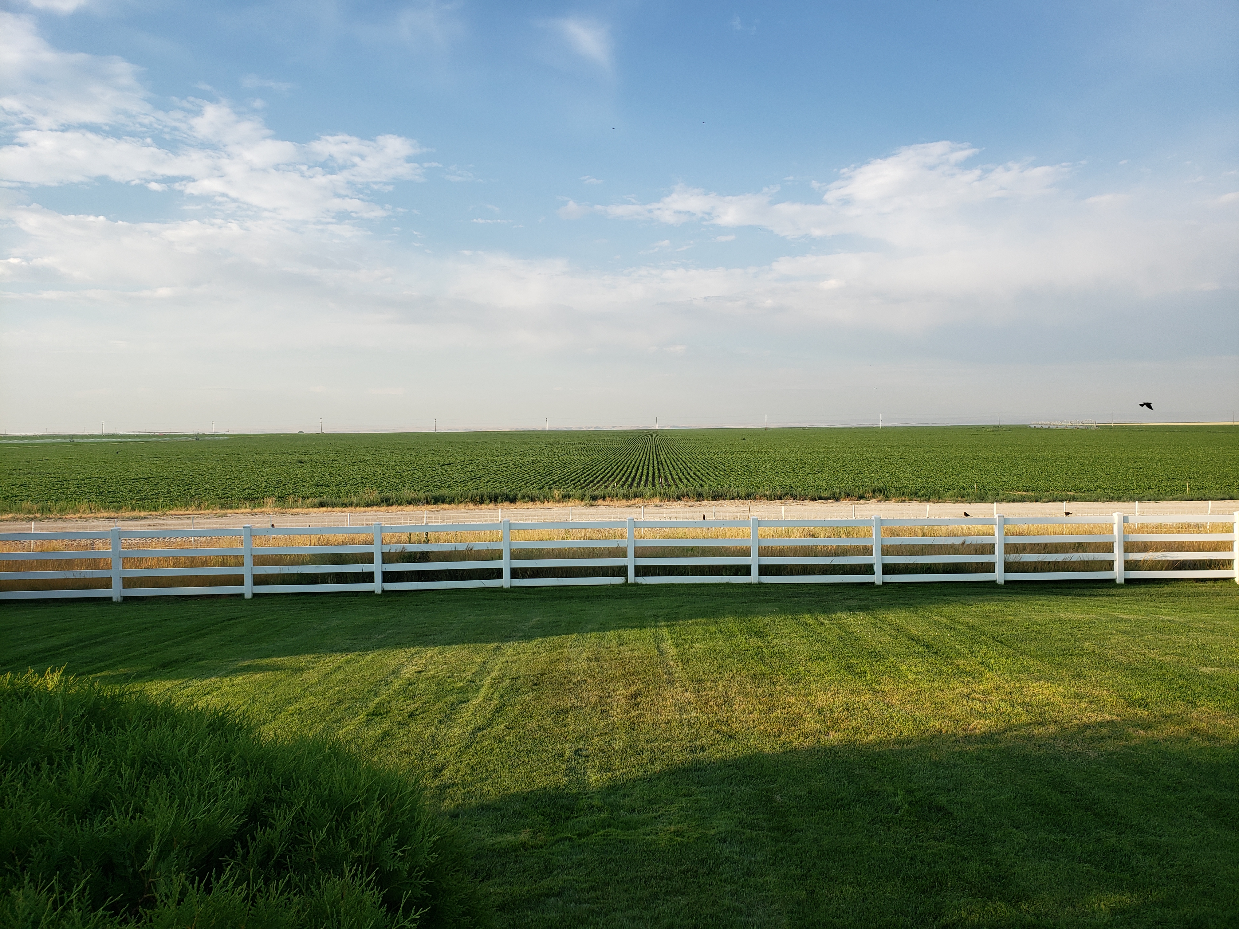 Mountain Home, Idaho, 83647, United States, ,Residential,For Sale,1830525