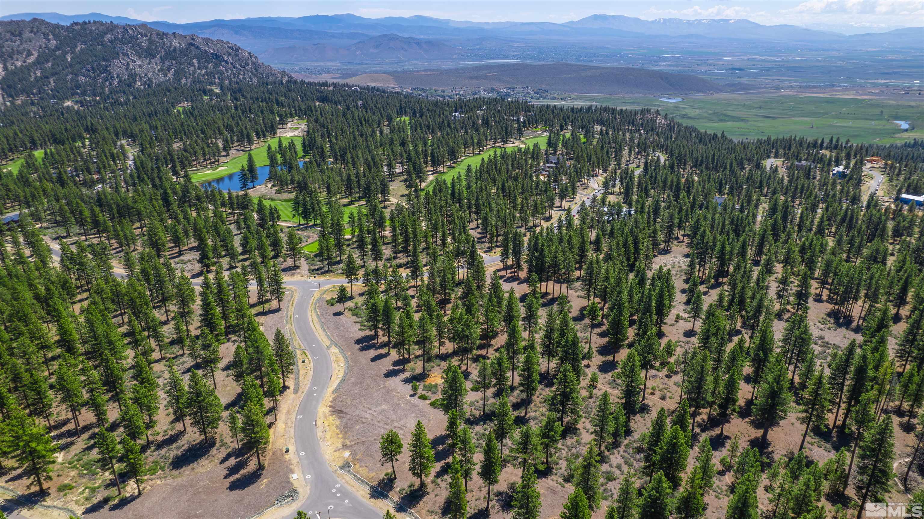 Carson City, Nevada, 89705, United States, ,Land,For Sale,1826407