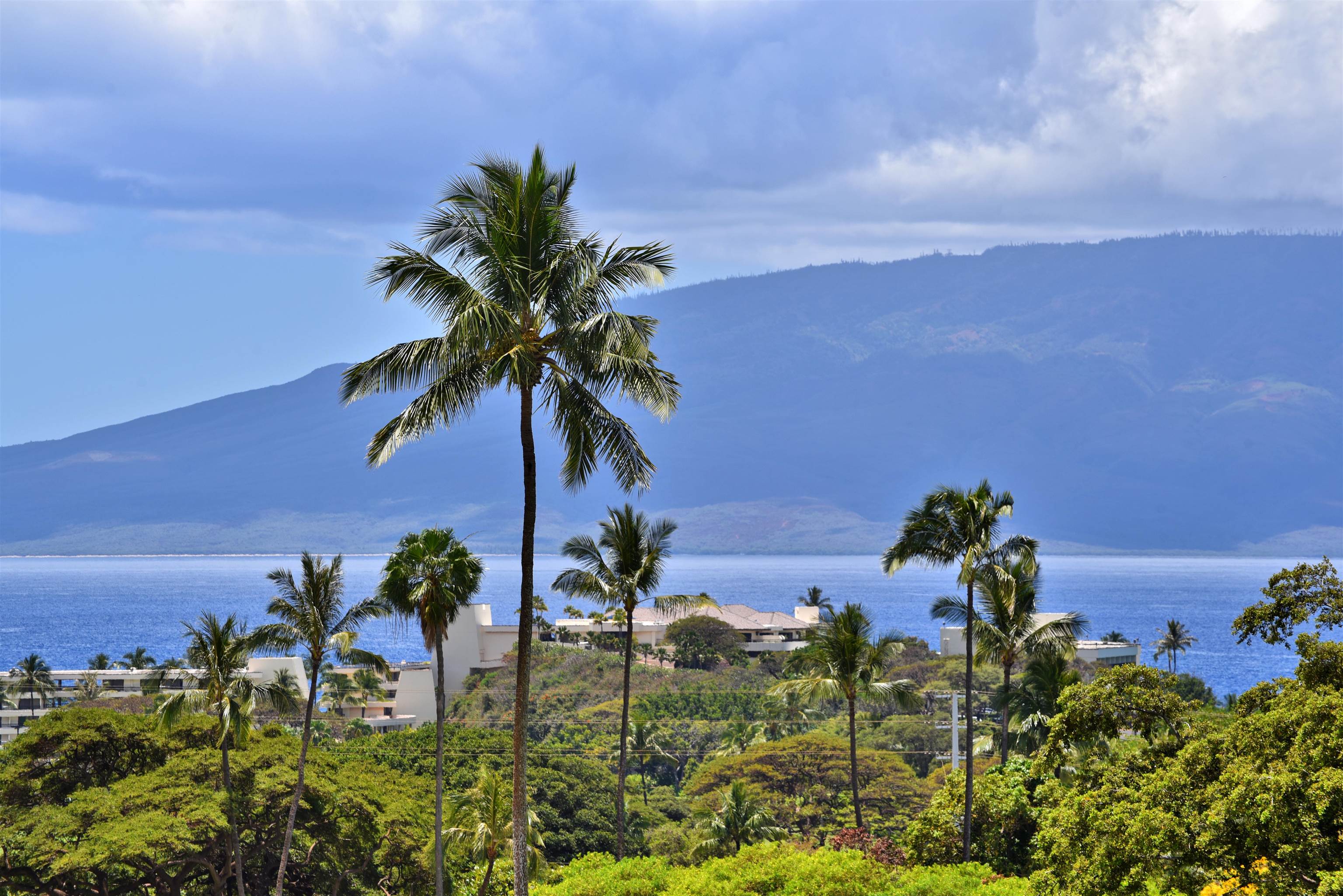 Lahaina, Hawaii, 96761, United States, 2 Bedrooms Bedrooms, ,2 BathroomsBathrooms,Residential,For Sale,1795000