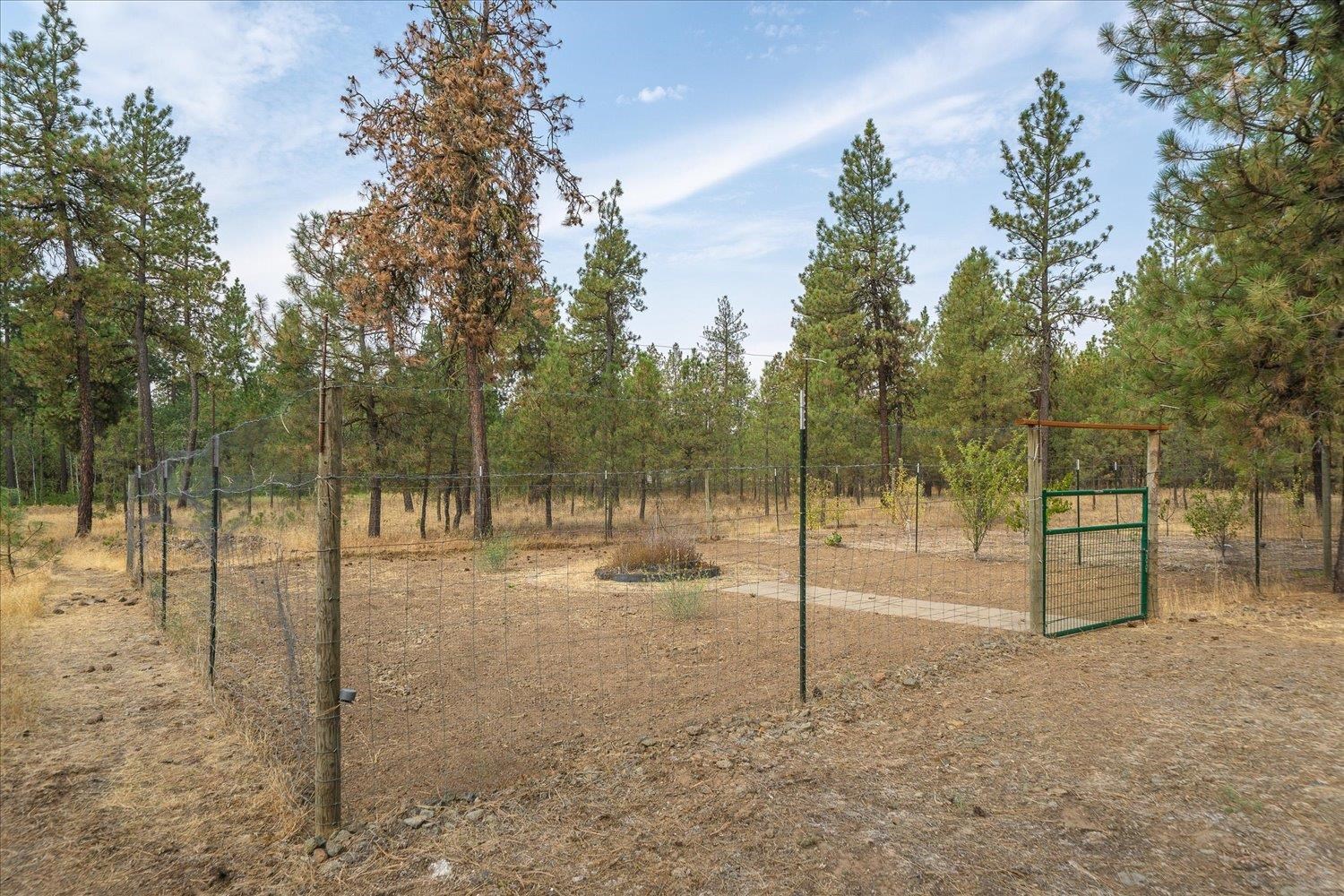 Cheney, Washington, 99004, United States, 4 Bedrooms Bedrooms, ,2 BathroomsBathrooms,Residential,For Sale,1978825