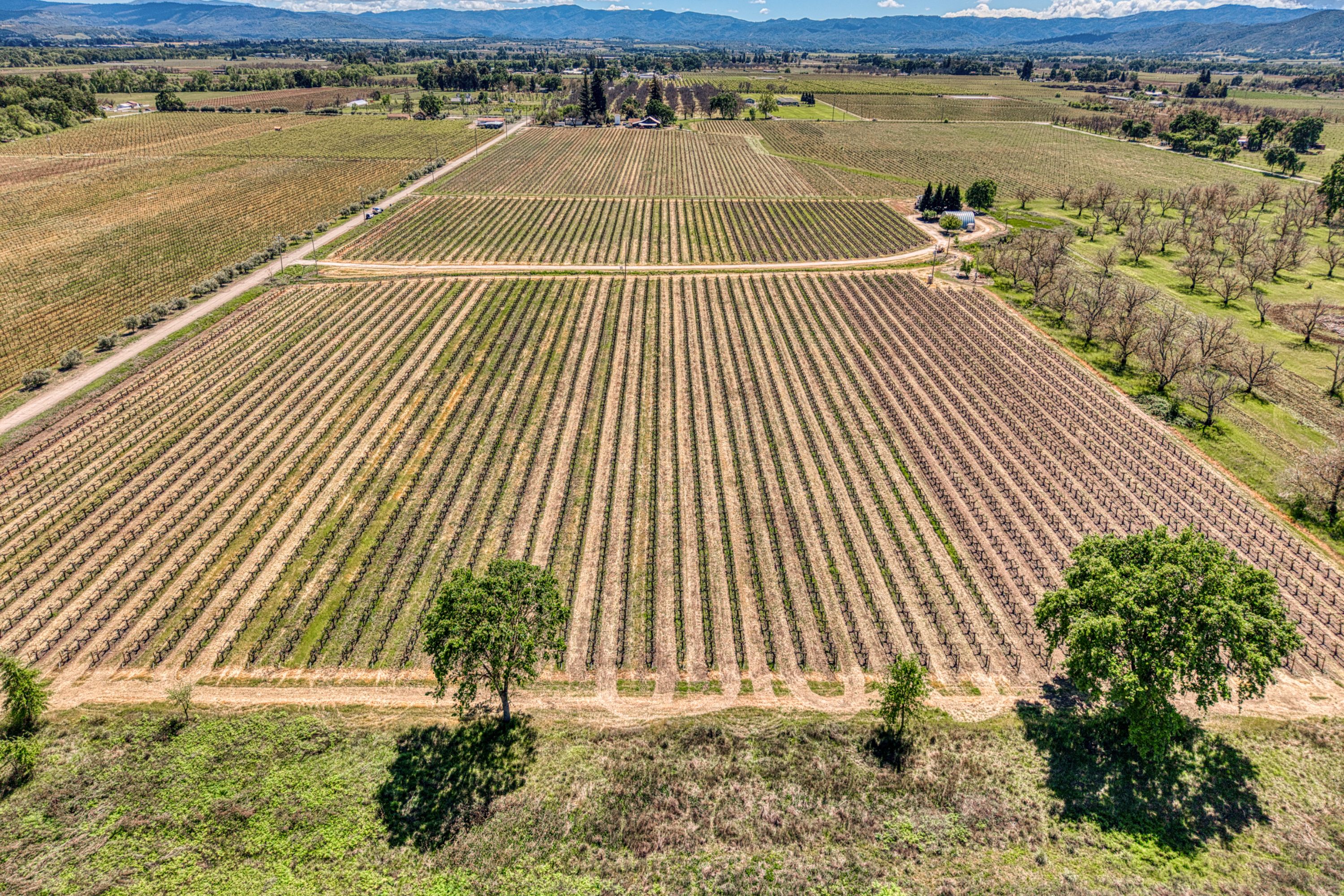  Lake County: The Place to Be - 物件實景