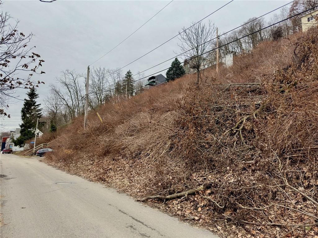 South Side, Pennsylvania, 15203, United States, ,Residential,For Sale,1732018