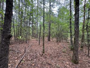 Naples, Texas, 75568, United States, ,Land,For Sale,1786234
