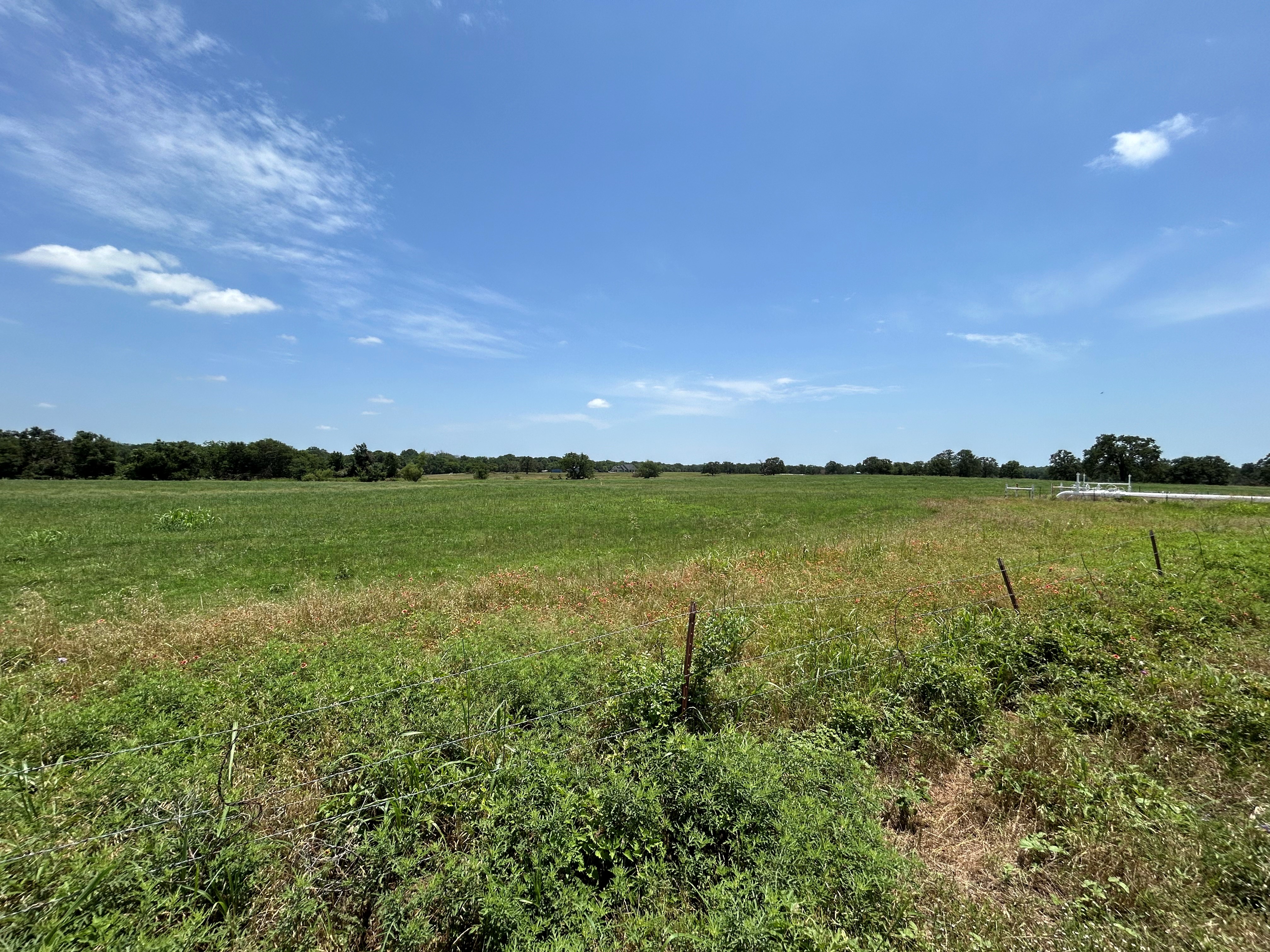 Bridgeport, Texas, 76426, United States, ,Residential,For Sale,1697871