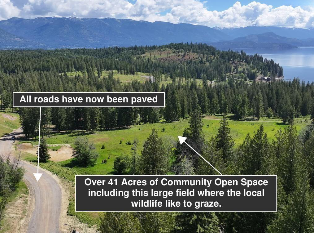 Sagle, Idaho, 83860, United States, ,Land,For Sale,1974286