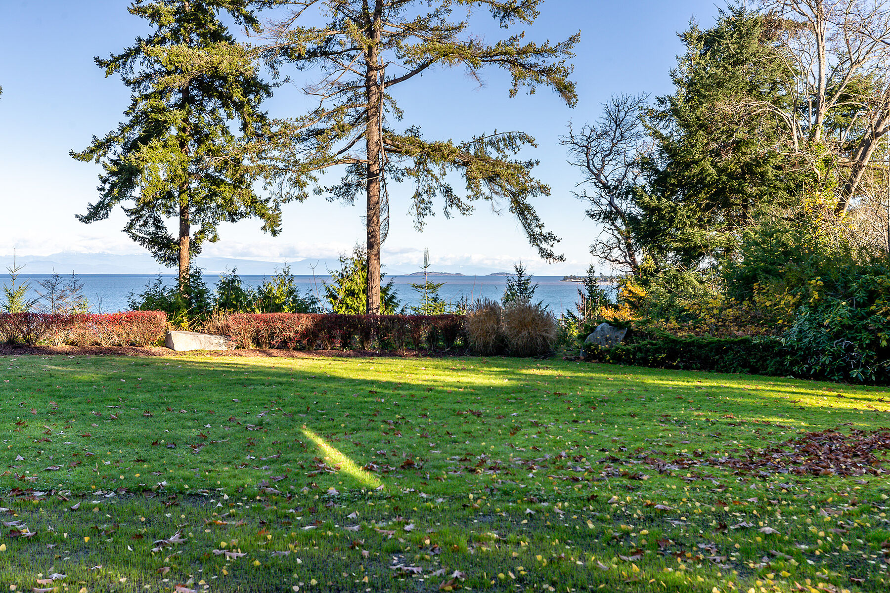 Parksville Estate - 物件實景