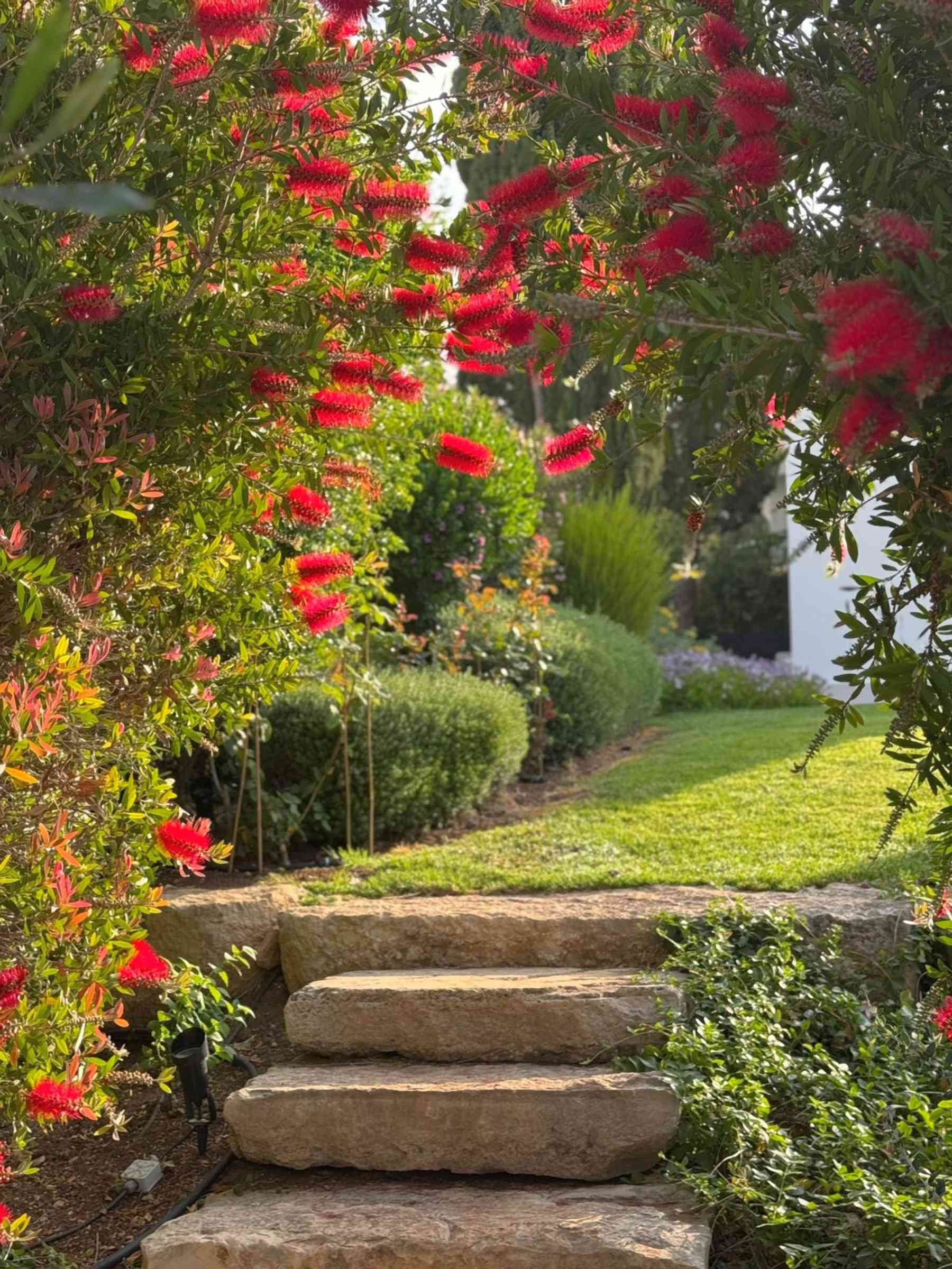  Four Bedroom Bungalow in Aphrodite Hills Golf Resort - 物件實景