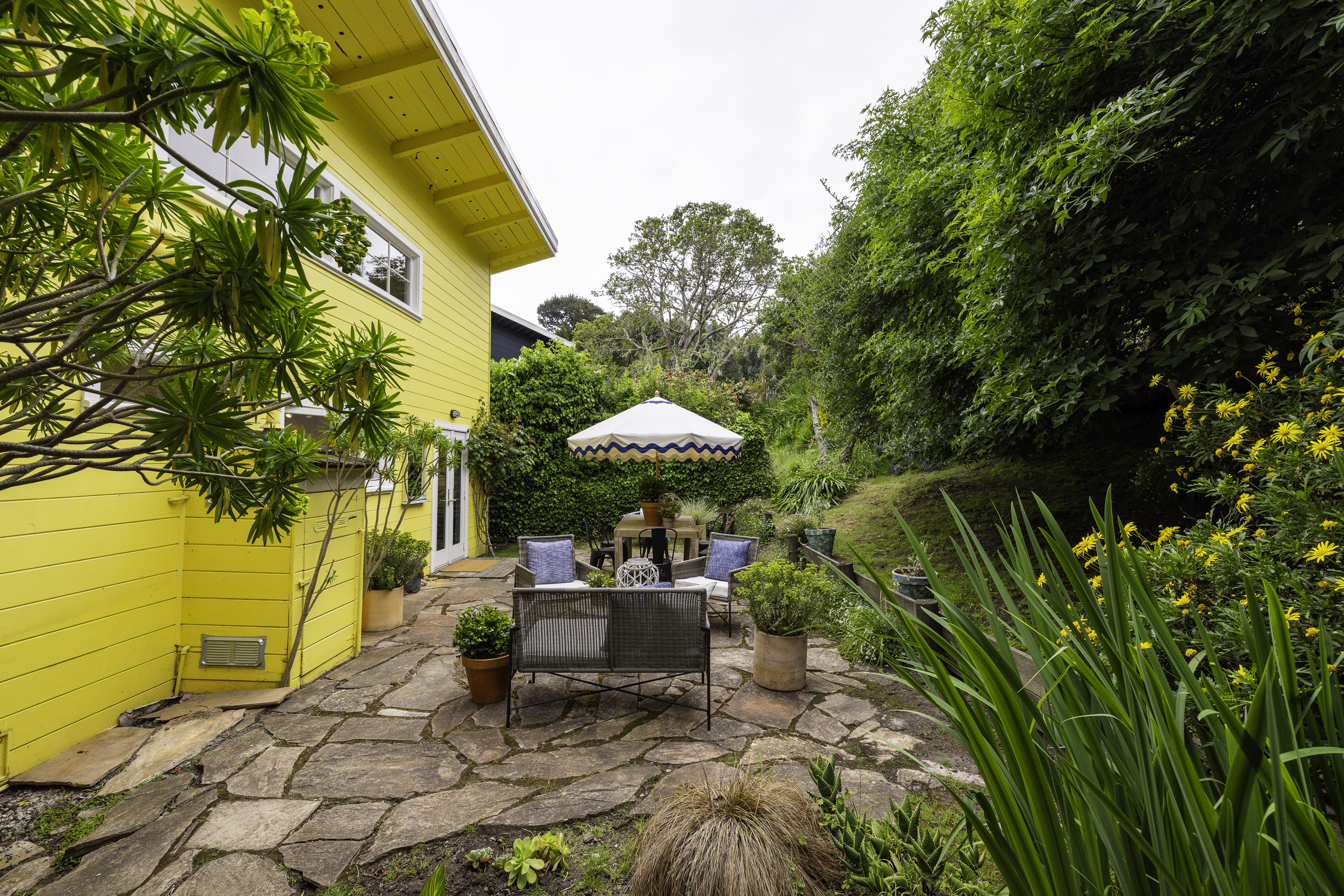  Catch the Sunshine . . . A Timeless Bolinas Cottage by the Ocean - 物件實景