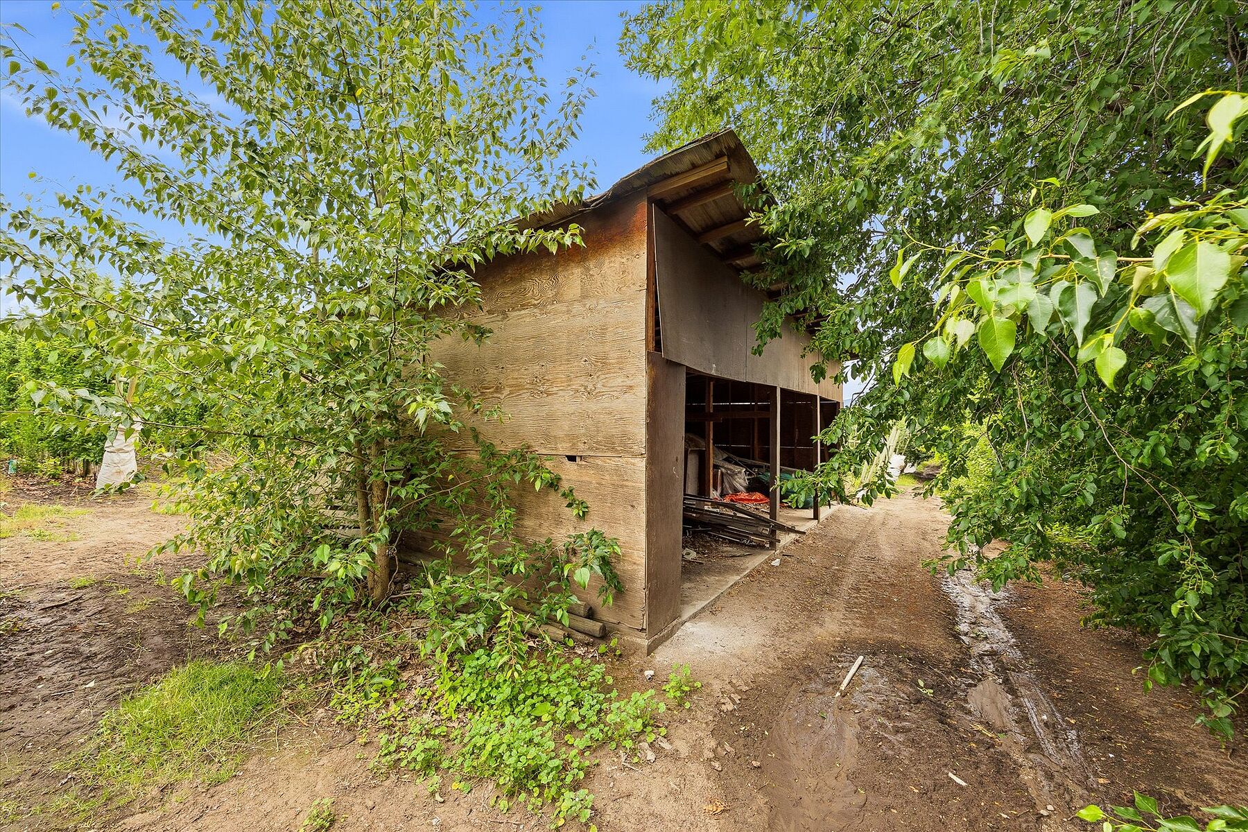  Ellison Acreage - 物件實景