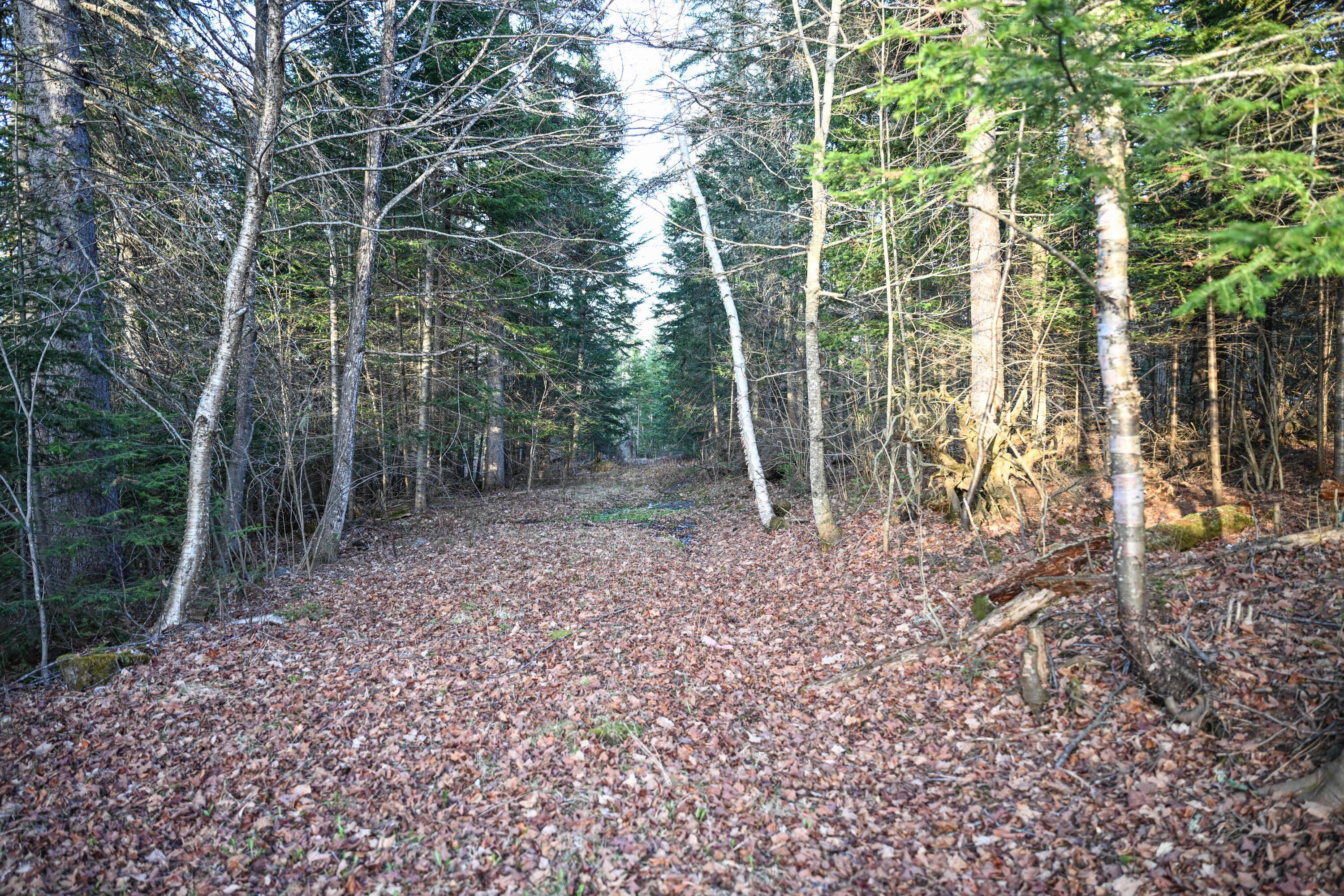  537 Dallas Hill Road - 物件實景