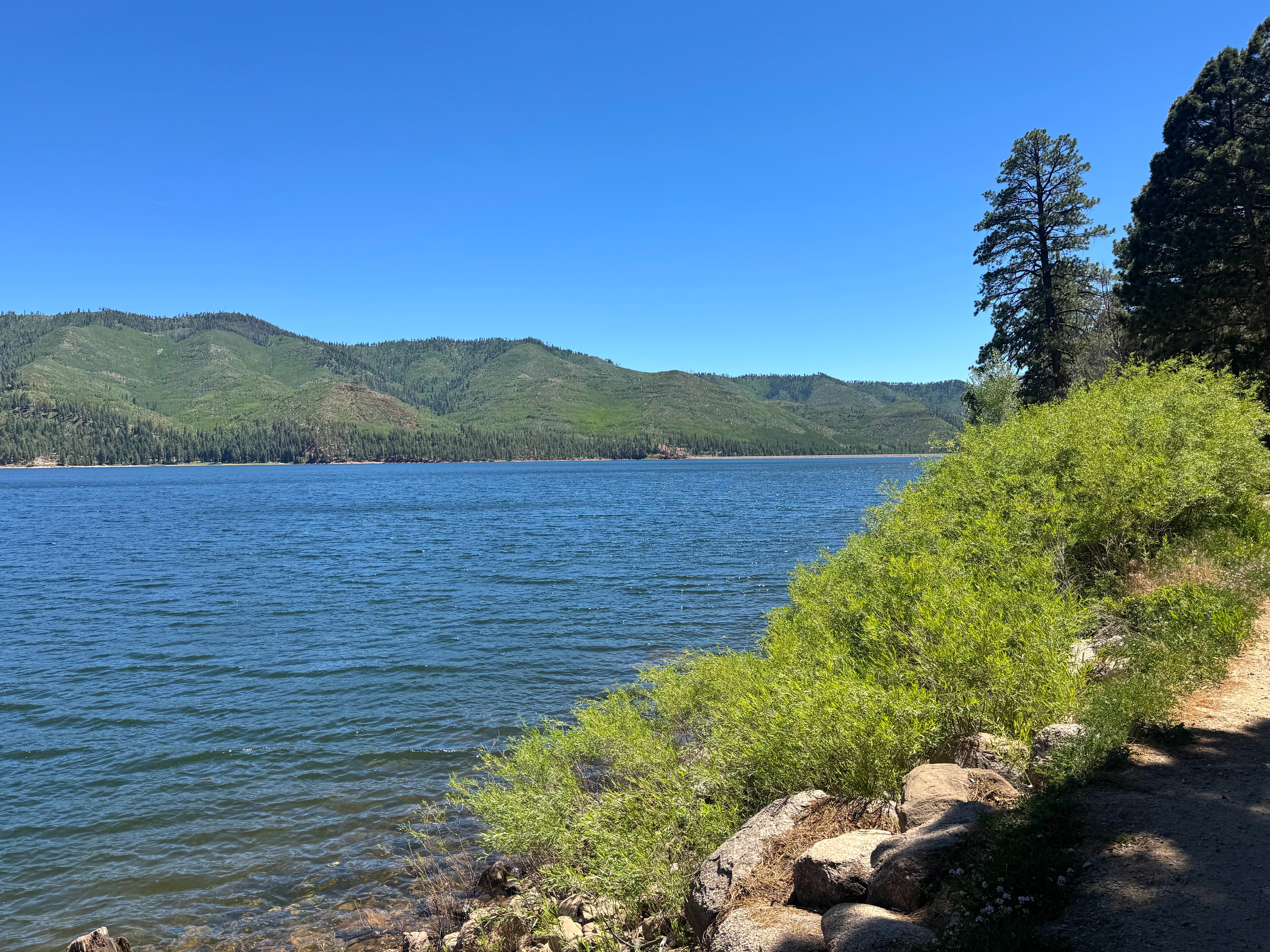  14564 County Road 501, Bayfield, CO 81122 - 物件實景