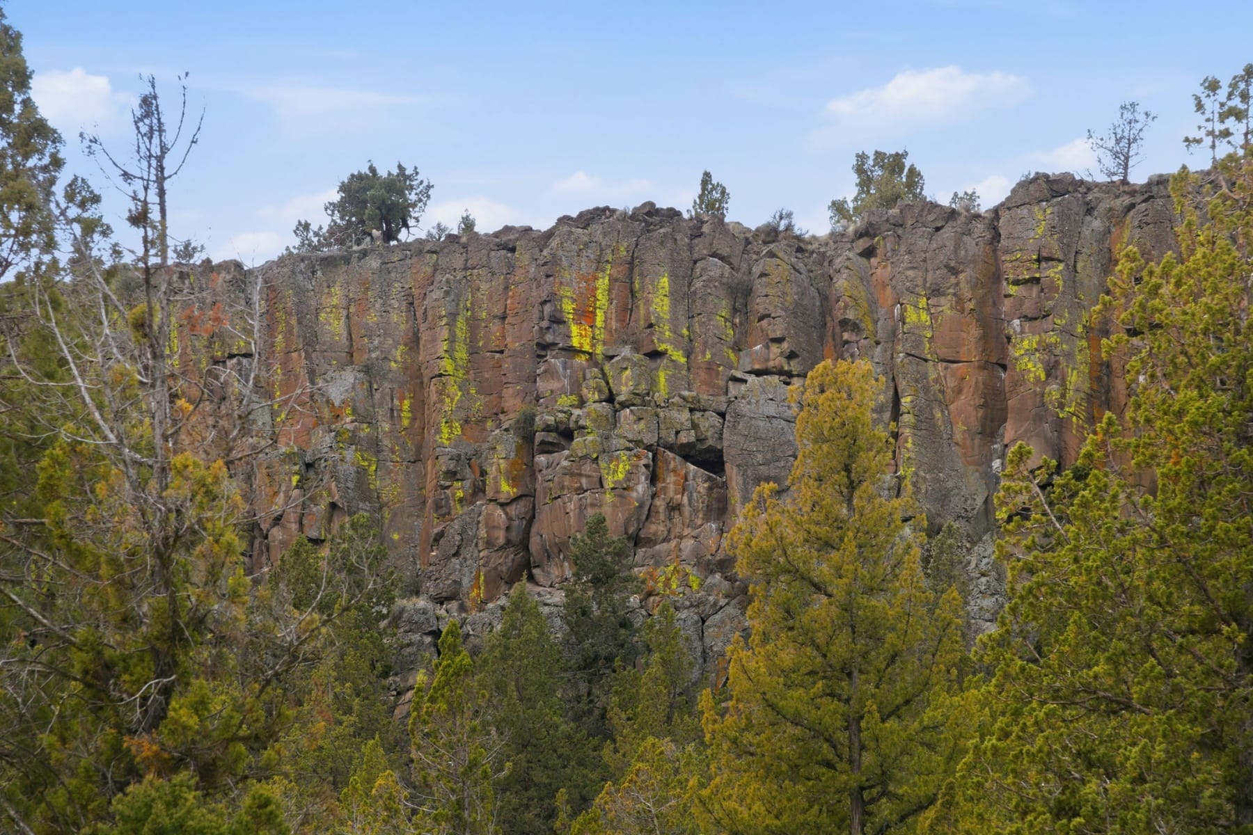  2158 NW Century Drive Prineville, OR 97754 - 物件實景