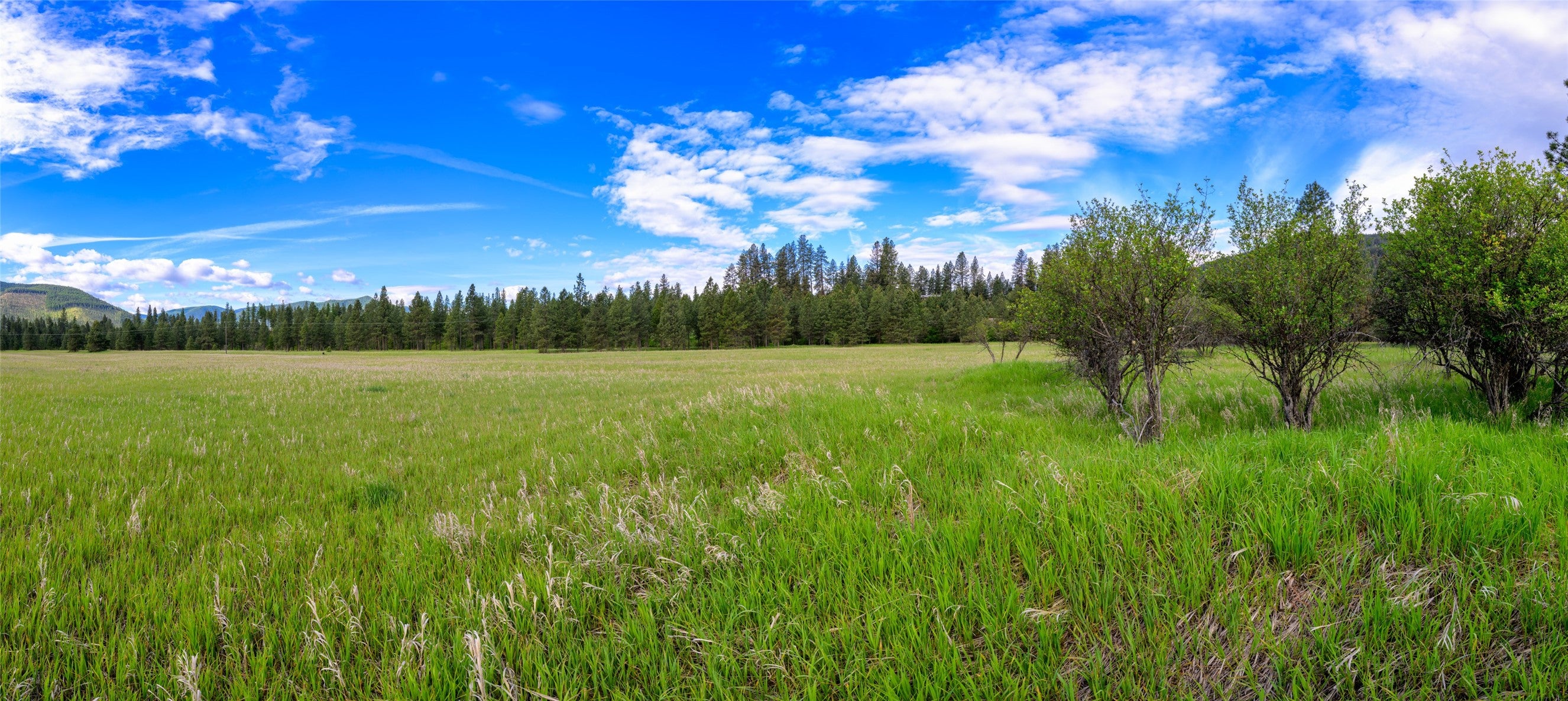 St Regis, Montana, 59866, United States, ,Land,For Sale,1848990