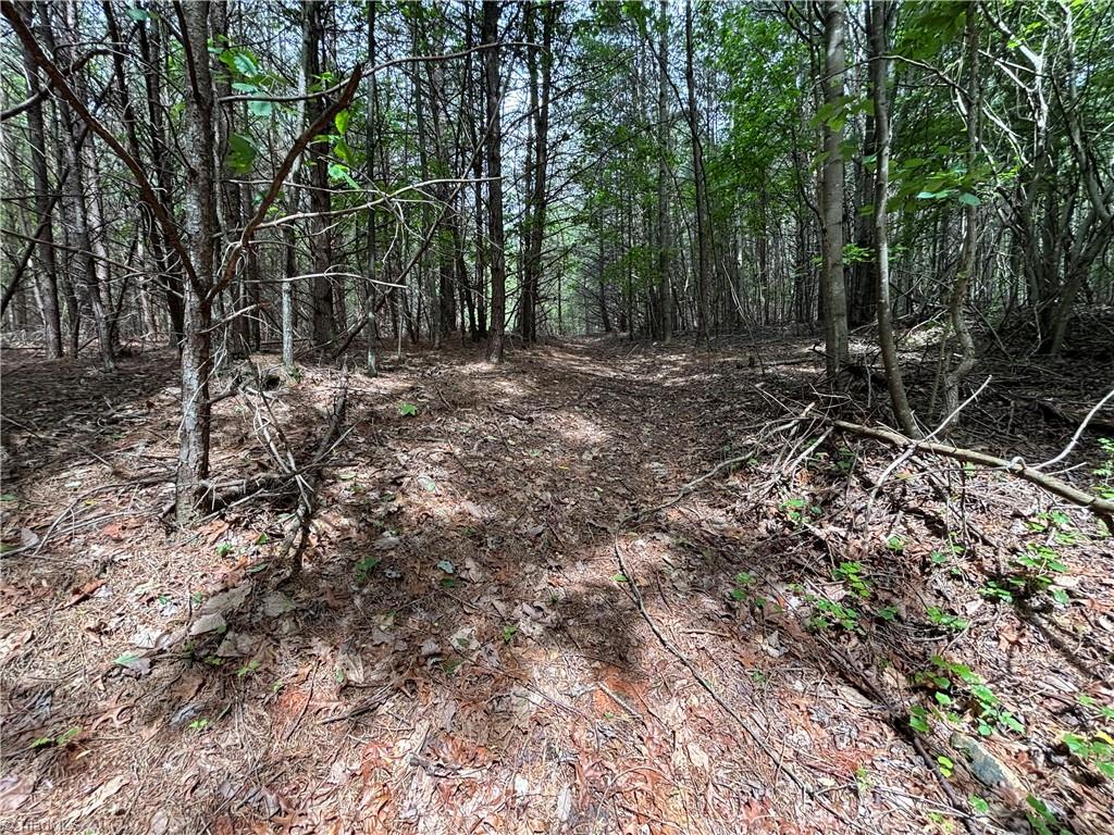 Pinnacle, North Carolina, 27043, United States, ,Land,For Sale,1829534