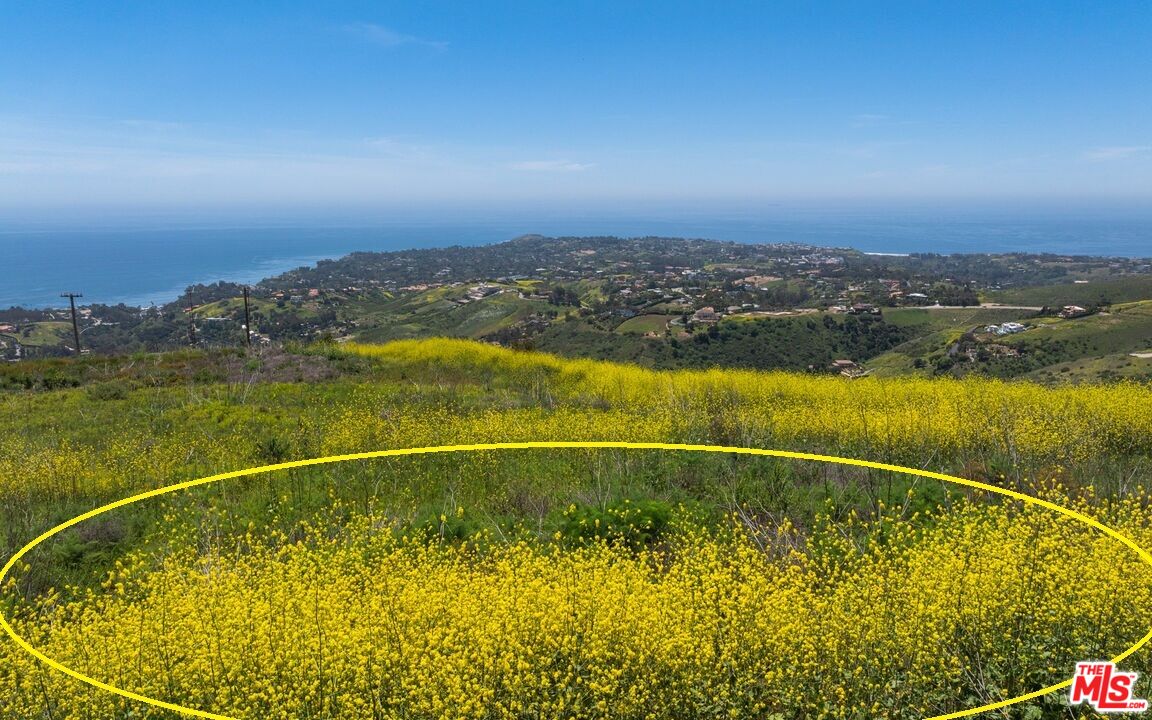 Malibu, California, 90265, United States, ,Land,For Sale,1998813