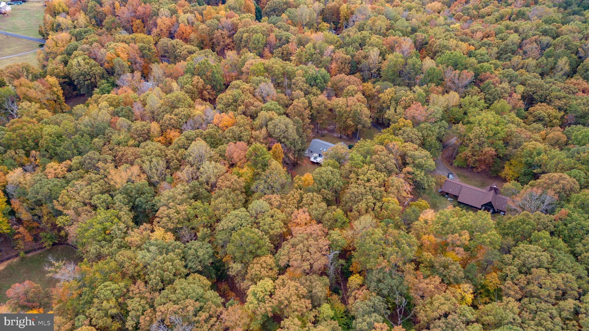 Fredericksburg, Virginia, 22407, United States, 3 Bedrooms Bedrooms, ,3 BathroomsBathrooms,Residential,For Sale,1987006