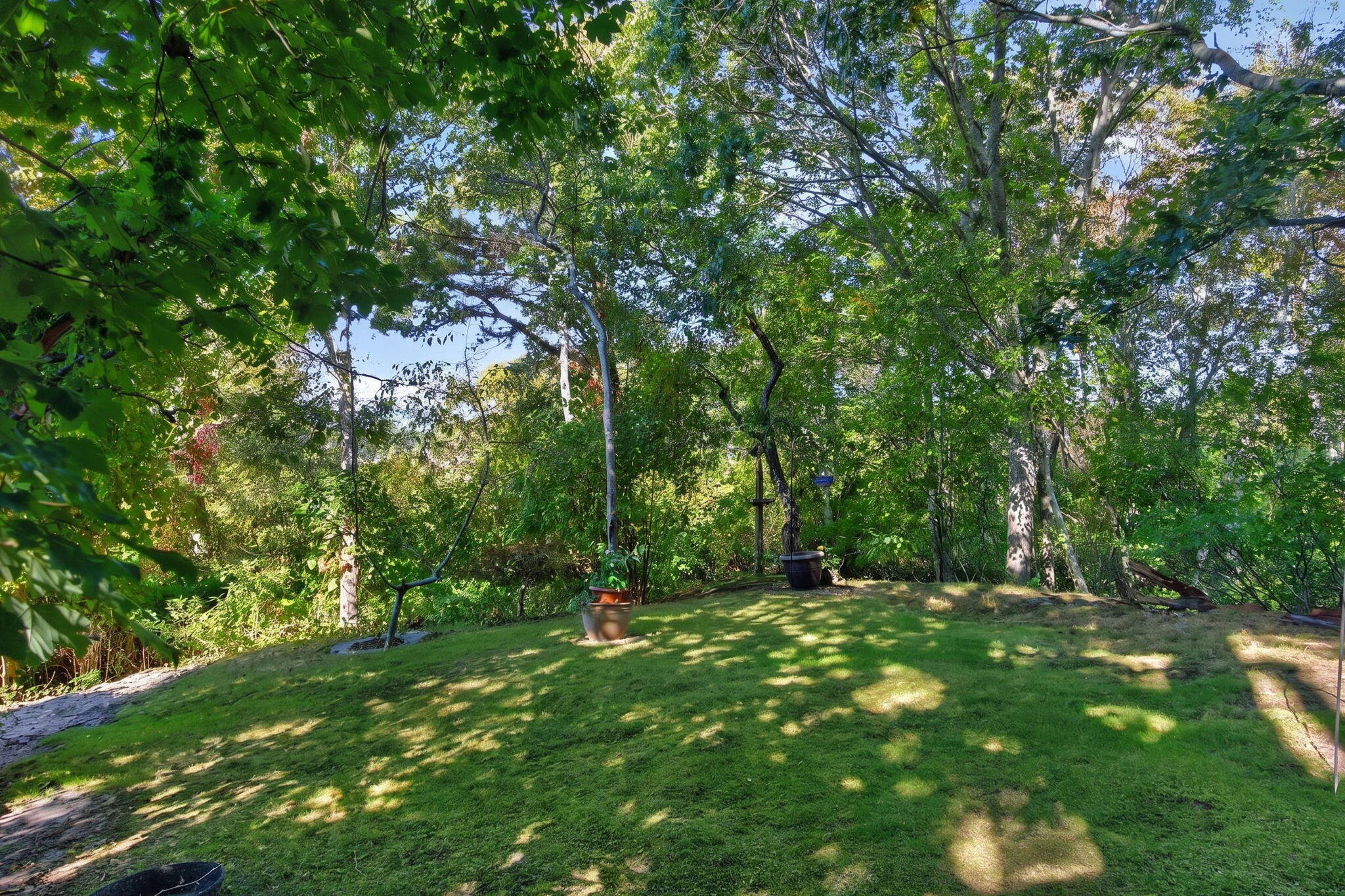 Wooded Privacy, Soaring Ceilings & a Separate Apartment - 物件實景