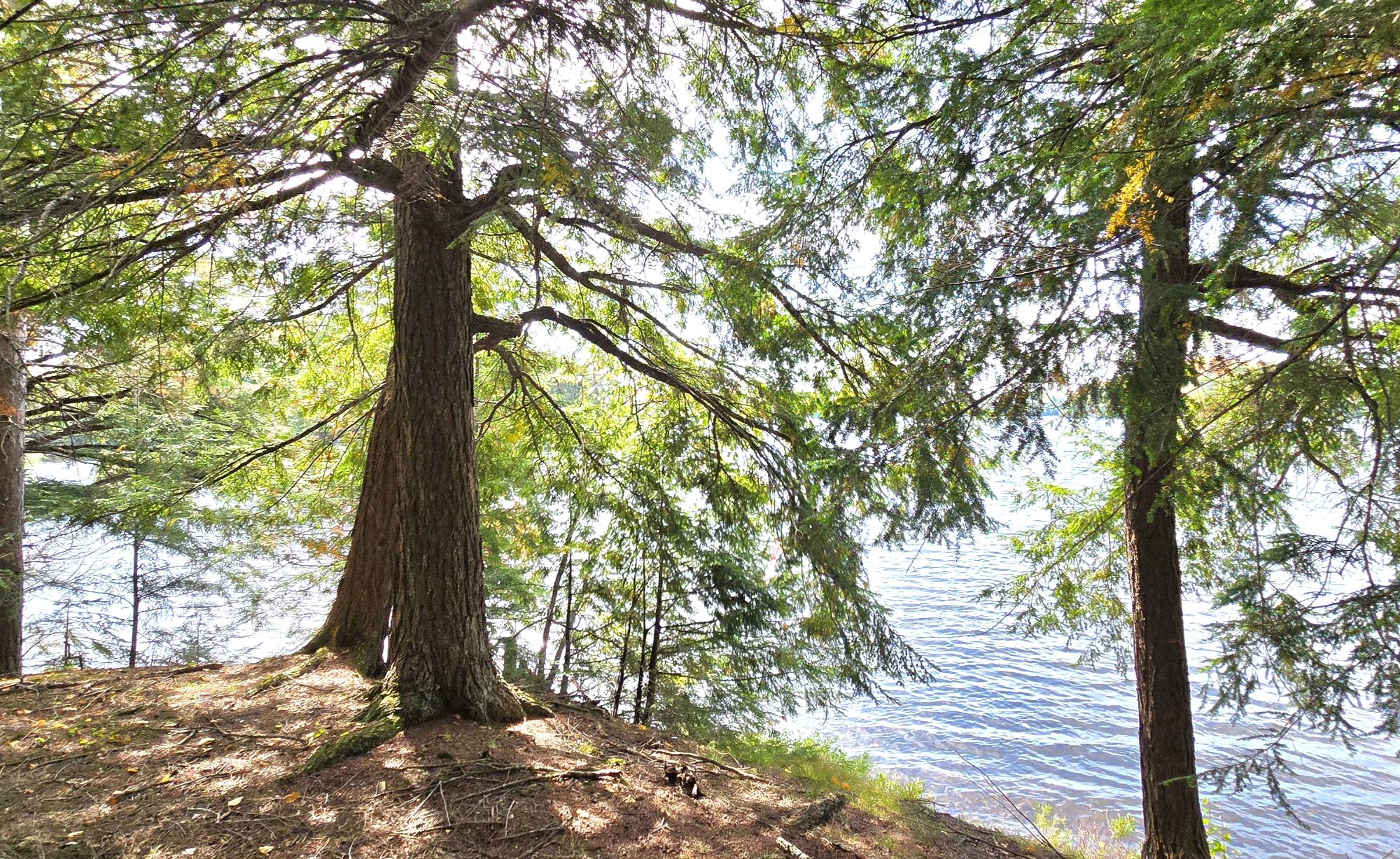 Presque Isle, Wisconsin, 54557, United States, ,Land,For Sale,1984076