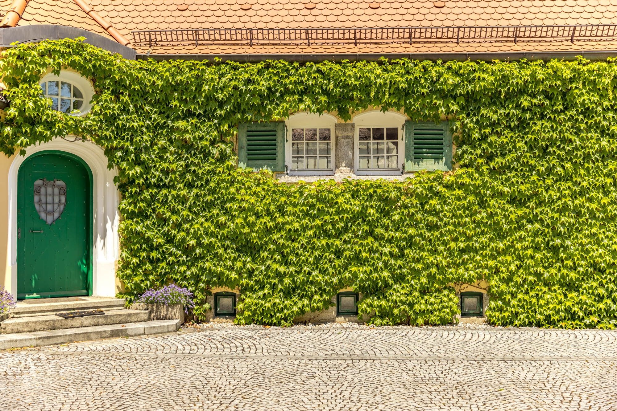  Villa Riemerschmid: a habitable synthesis of the arts of German Art Nouveau - 物件實景
