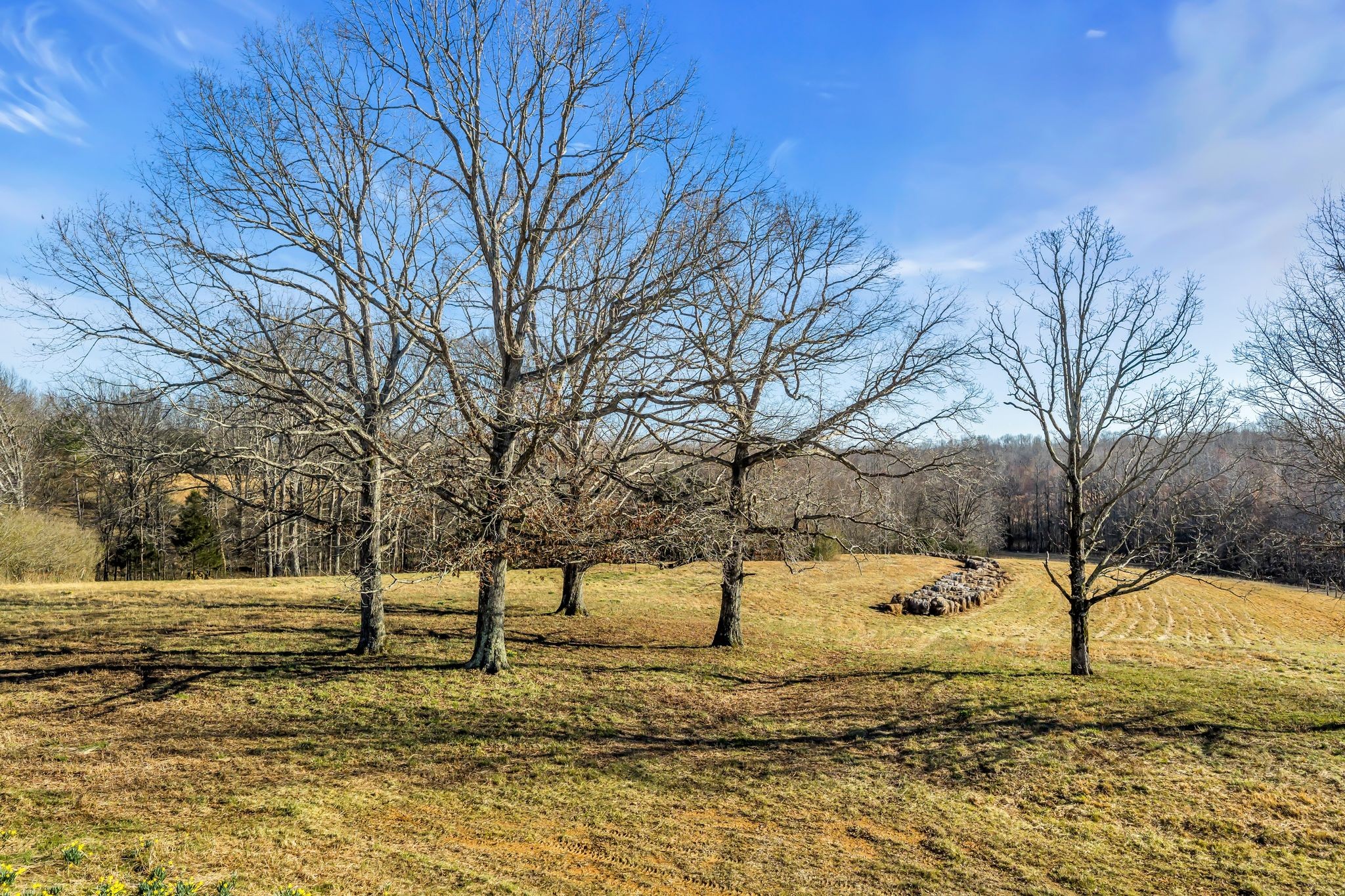  2340 Ridge Road, McEwen, TN 37101 - 物件實景