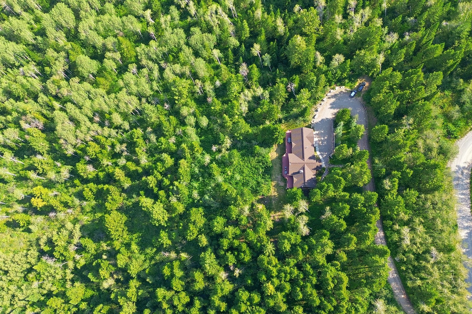  Sorensen Creek Drive - 物件實景