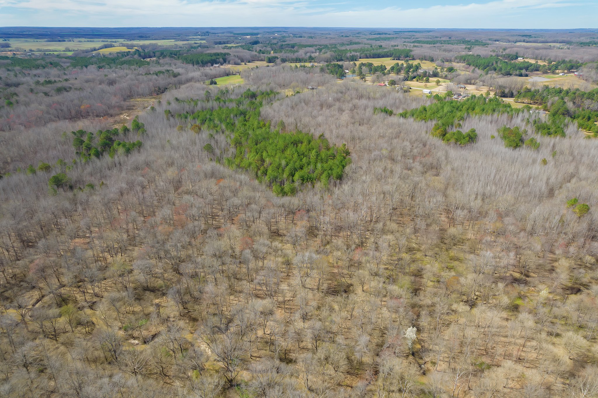 Beech Bluff, Tennessee, 38313, United States, 5 Bedrooms Bedrooms, ,3 BathroomsBathrooms,Residential,For Sale,1743753