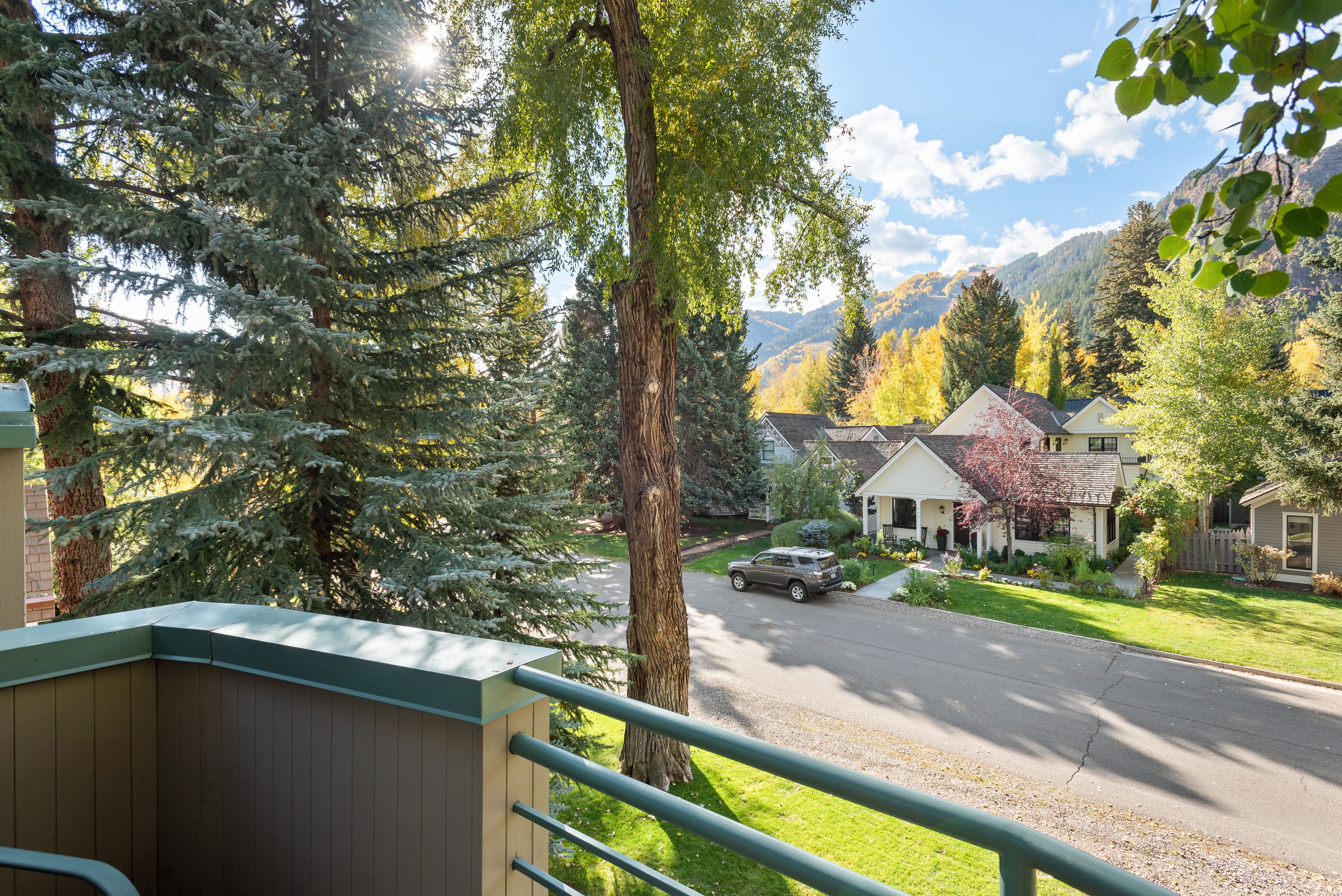  530 West Francis Street, Aspen, CO 81611 - 物件實景