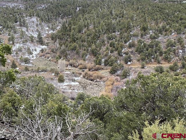Montrose, Colorado, 81403, United States, ,Land,For Sale,1919926