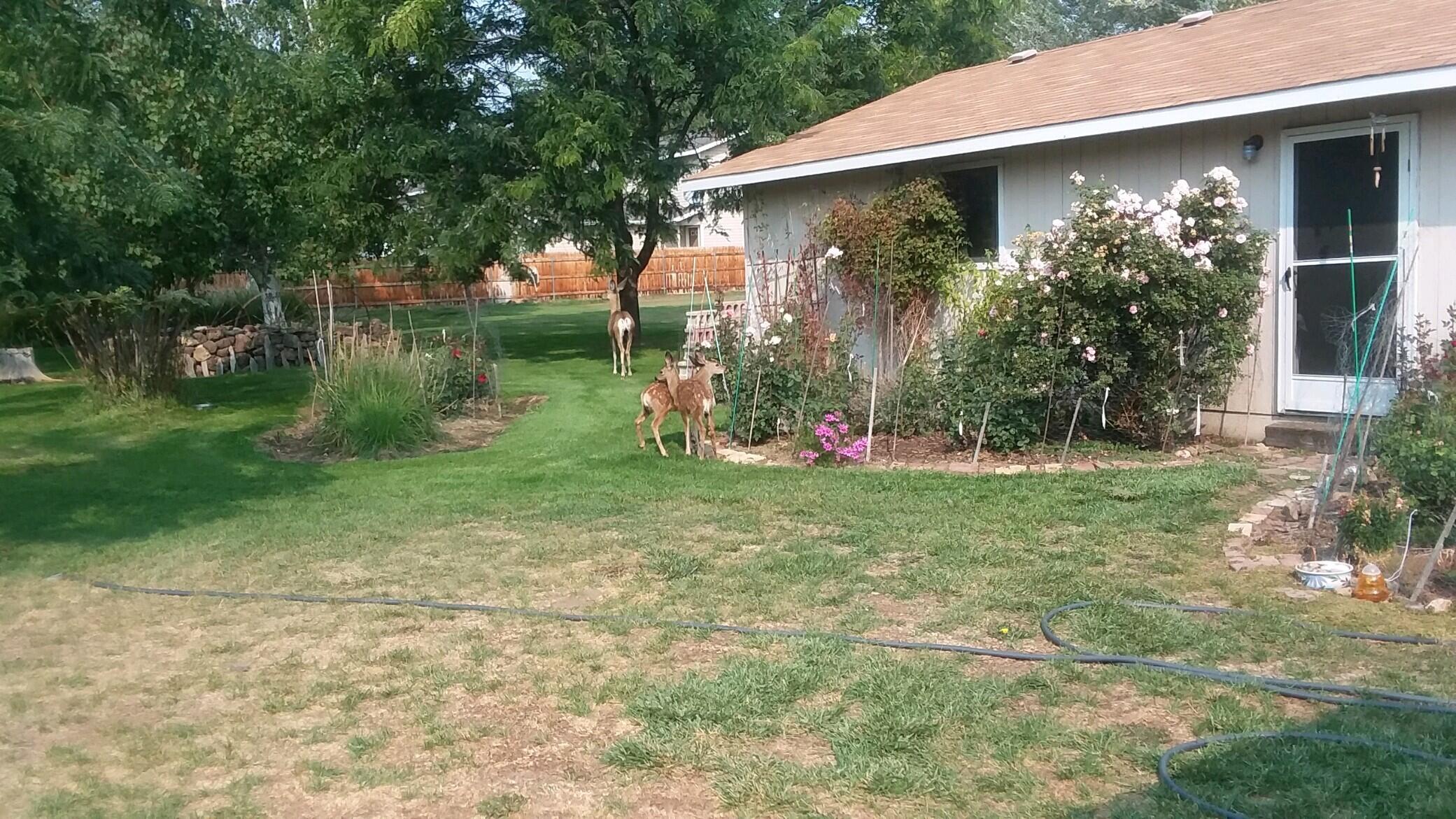 Redmond, Oregon, 97756, United States, 2 Bedrooms Bedrooms, ,1 BathroomBathrooms,Residential,For Sale,2008115