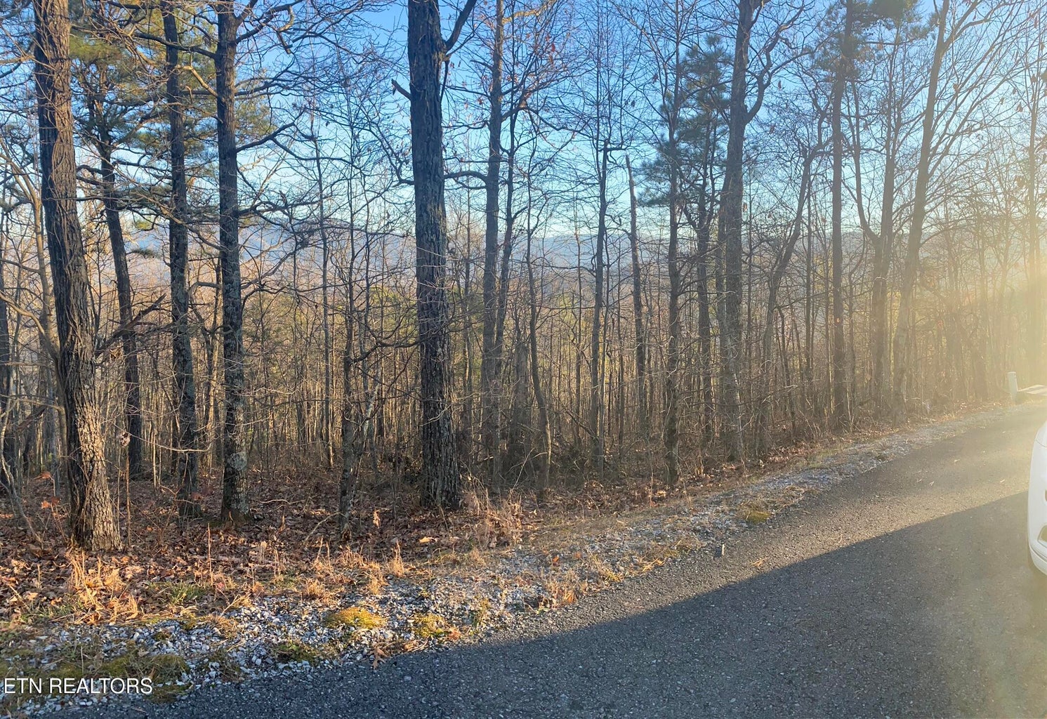 Gatlinburg, Tennessee, 37738, United States, 3 Bedrooms Bedrooms, ,3 BathroomsBathrooms,Residential,For Sale,1982516