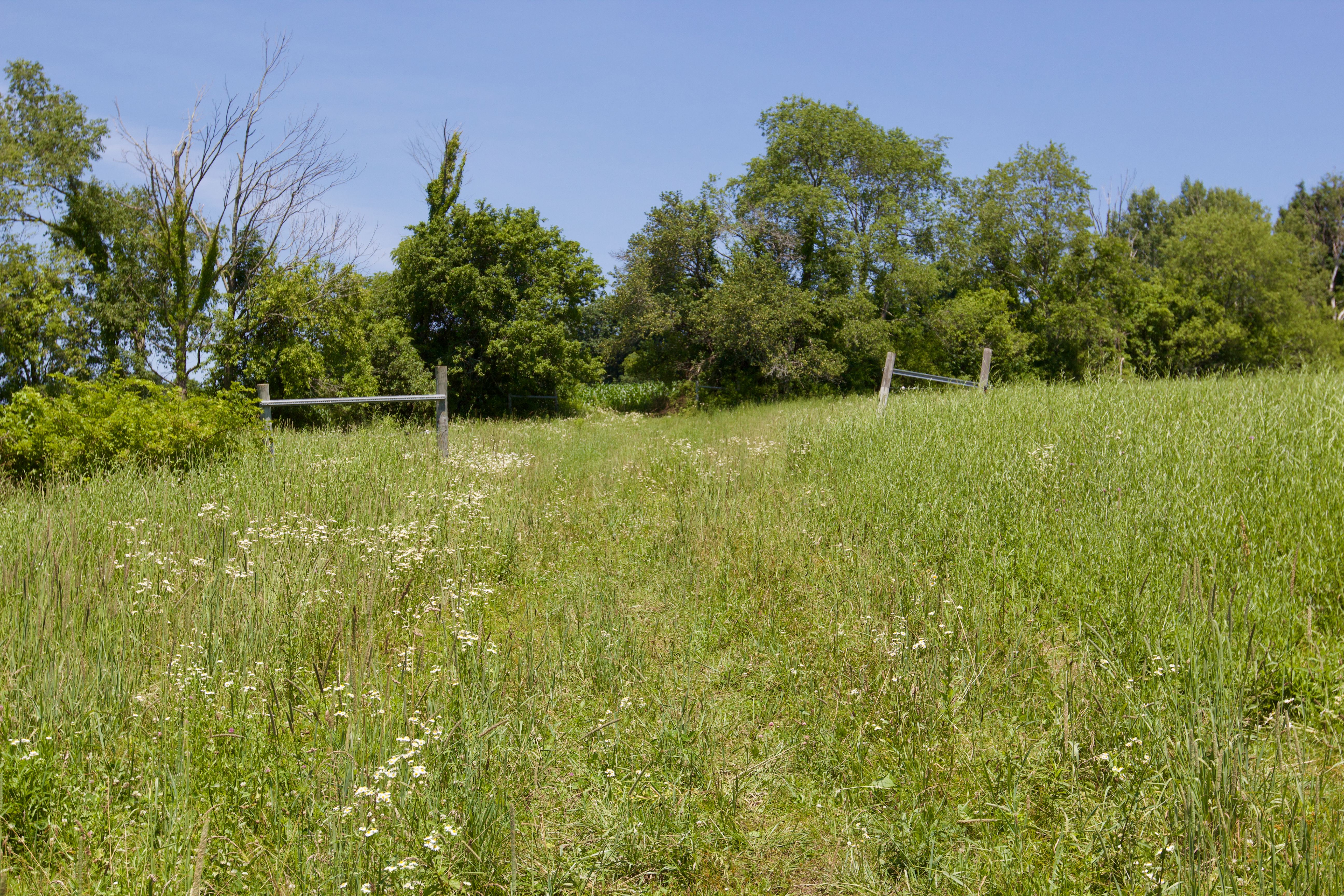 90 West End Road, Hillsdale, NY 12529 - 物件實景