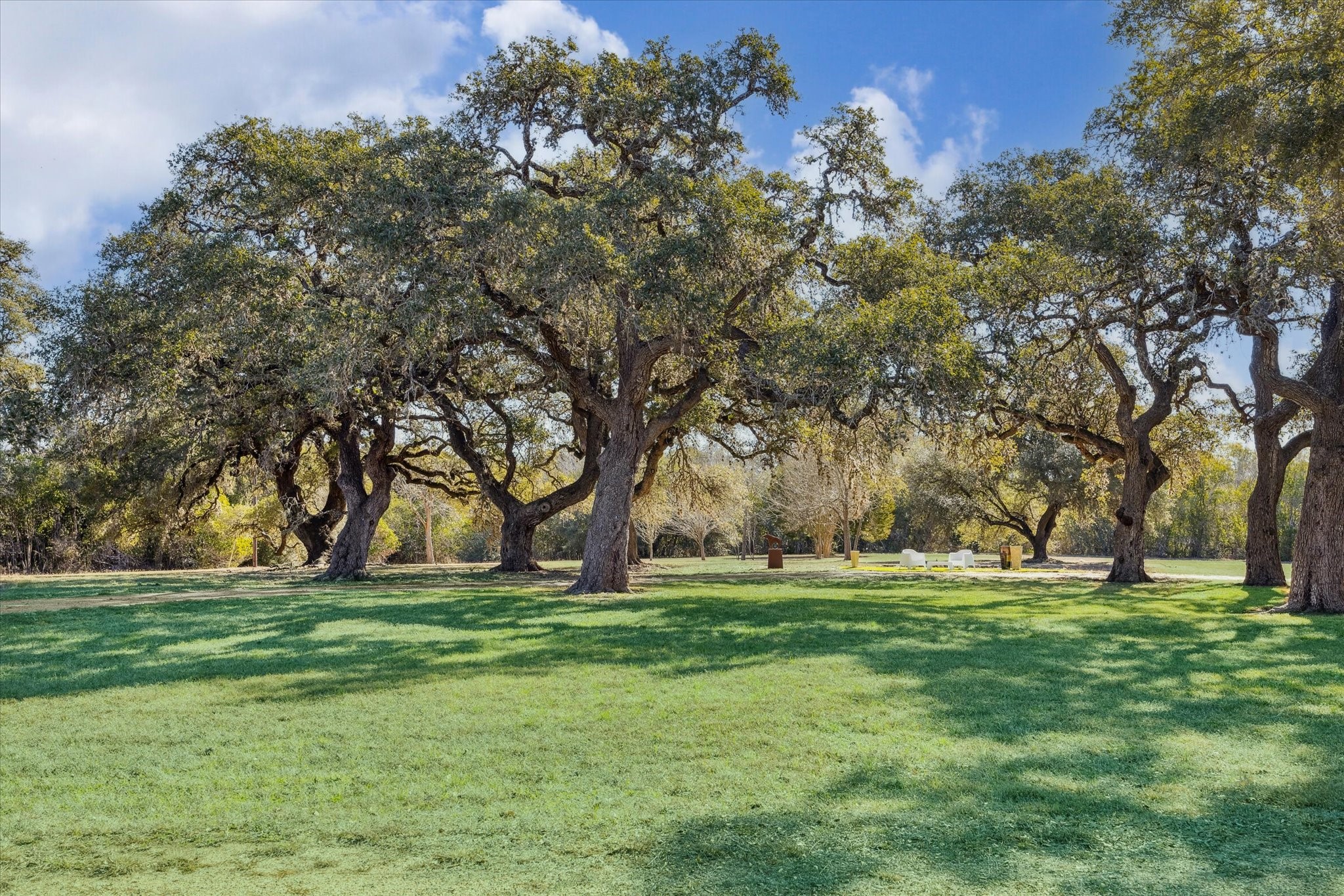  509 N Live Oak Street - 物件實景