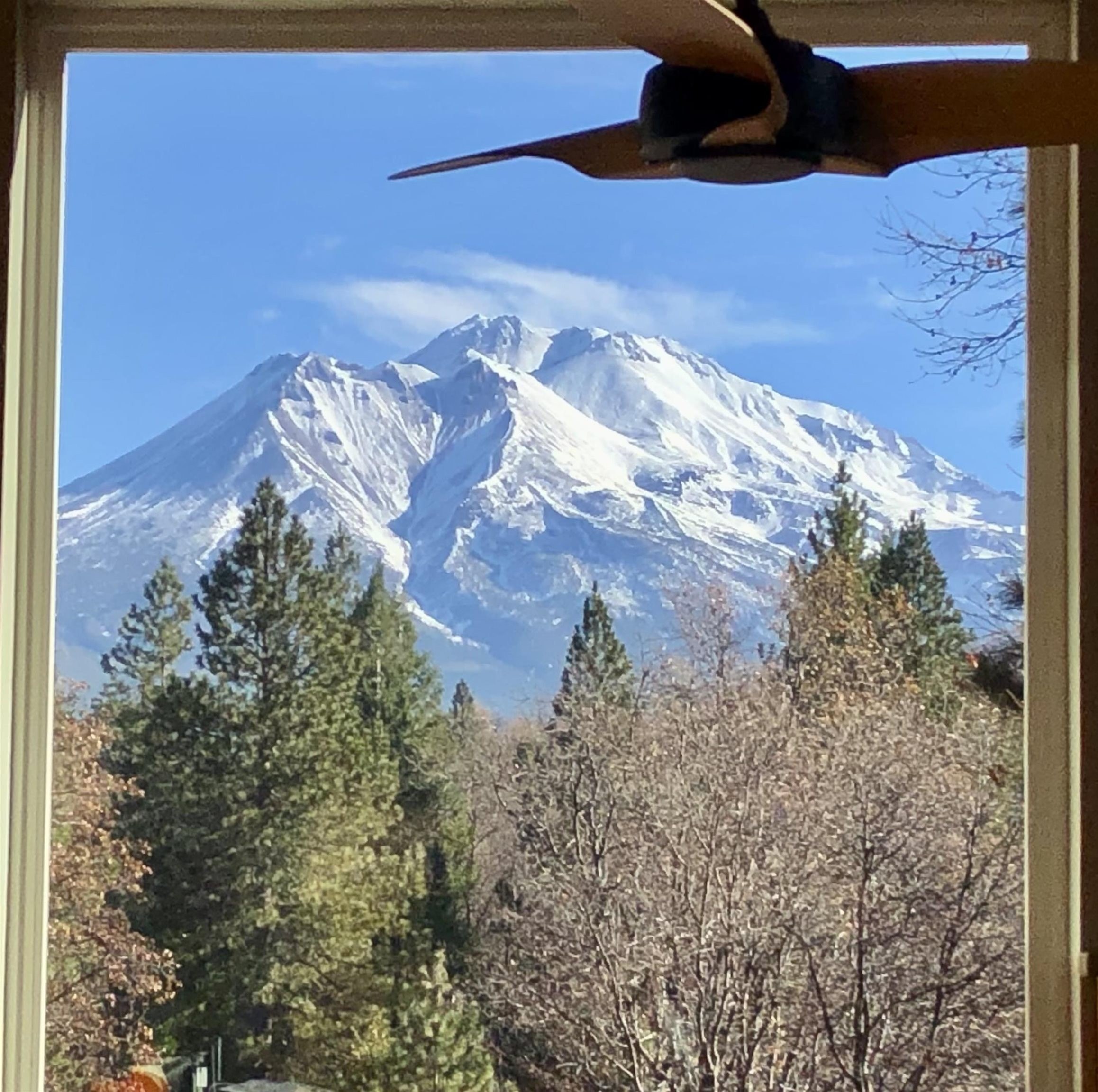 Weed, California, 96094, United States, 4 Bedrooms Bedrooms, ,3 BathroomsBathrooms,Residential,For Sale,2038321