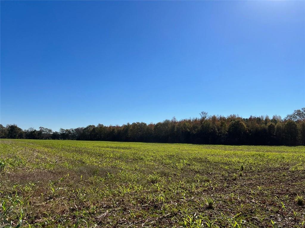Taylorsville, Georgia, 30178, United States, ,Land,For Sale,1795283